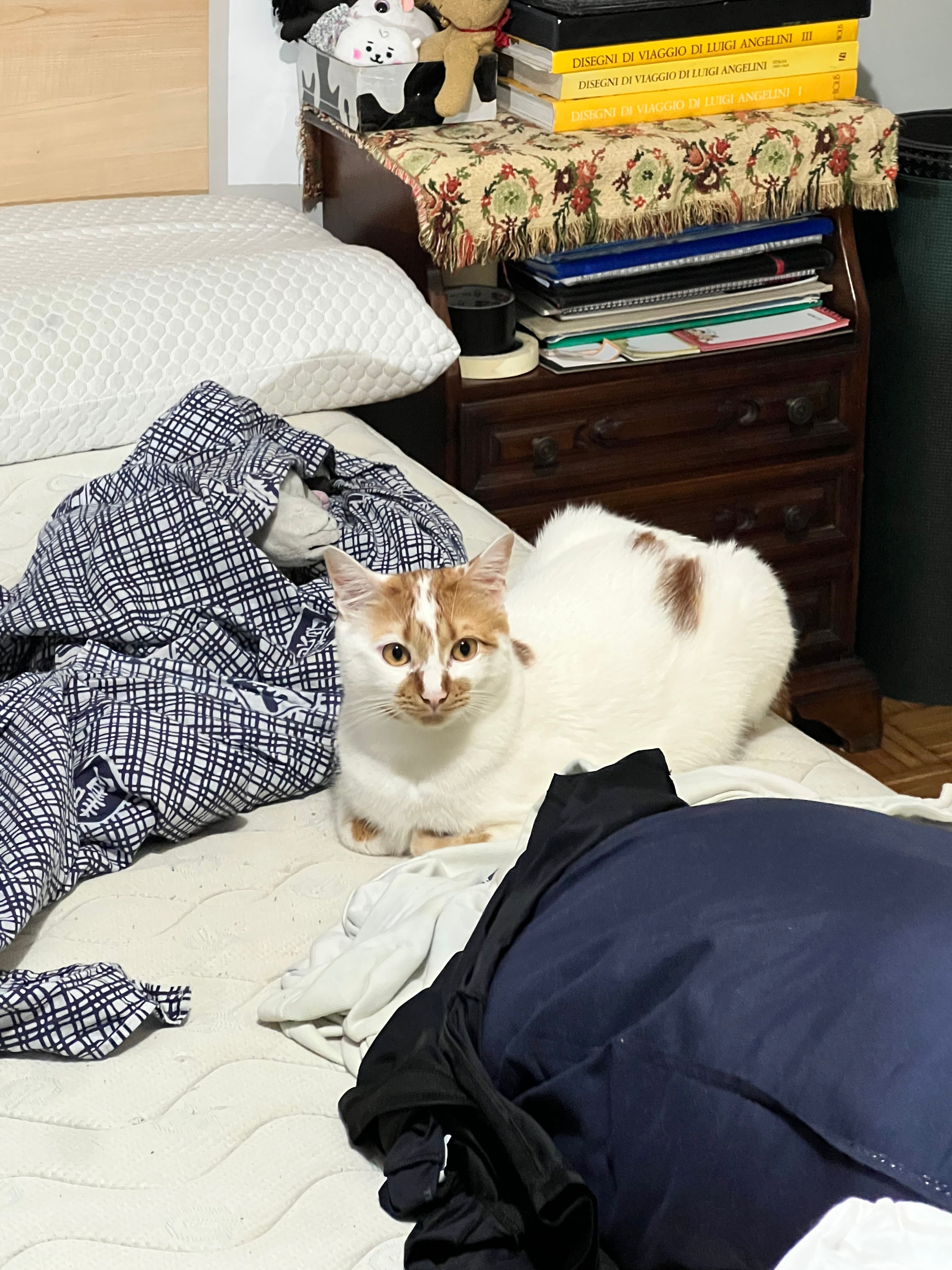 image-8