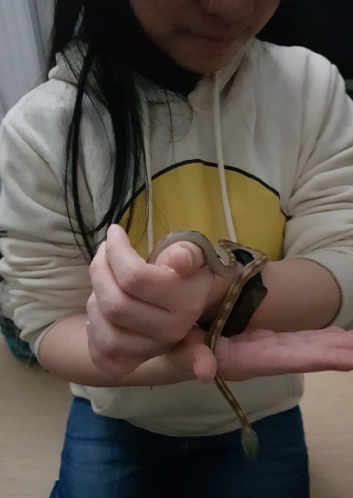 image-9
