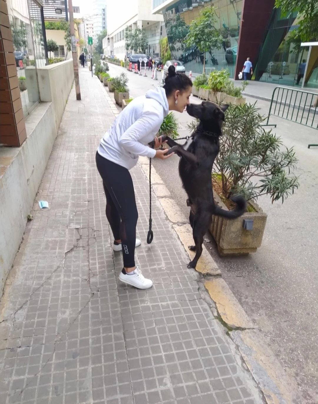 image-3