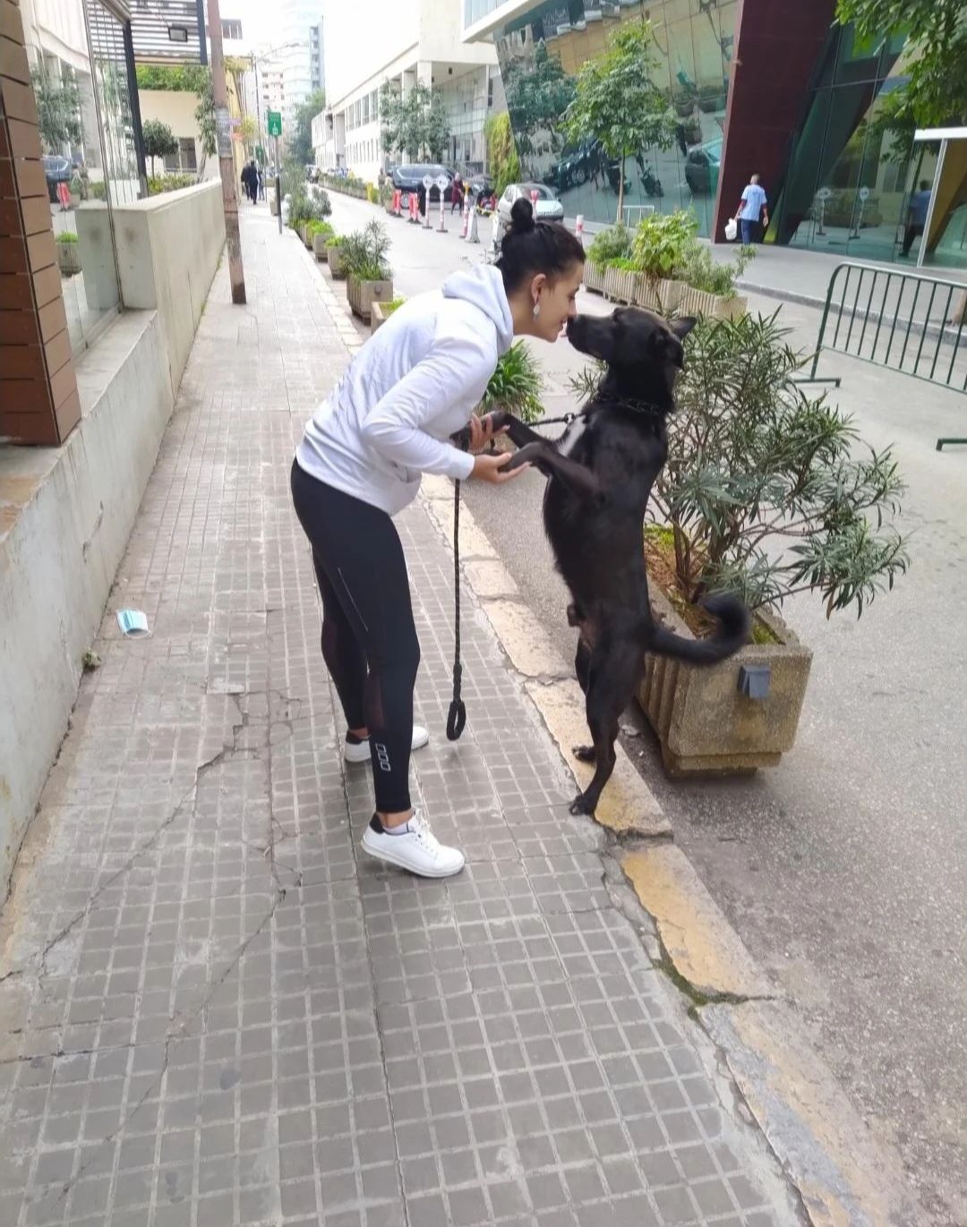 image-3