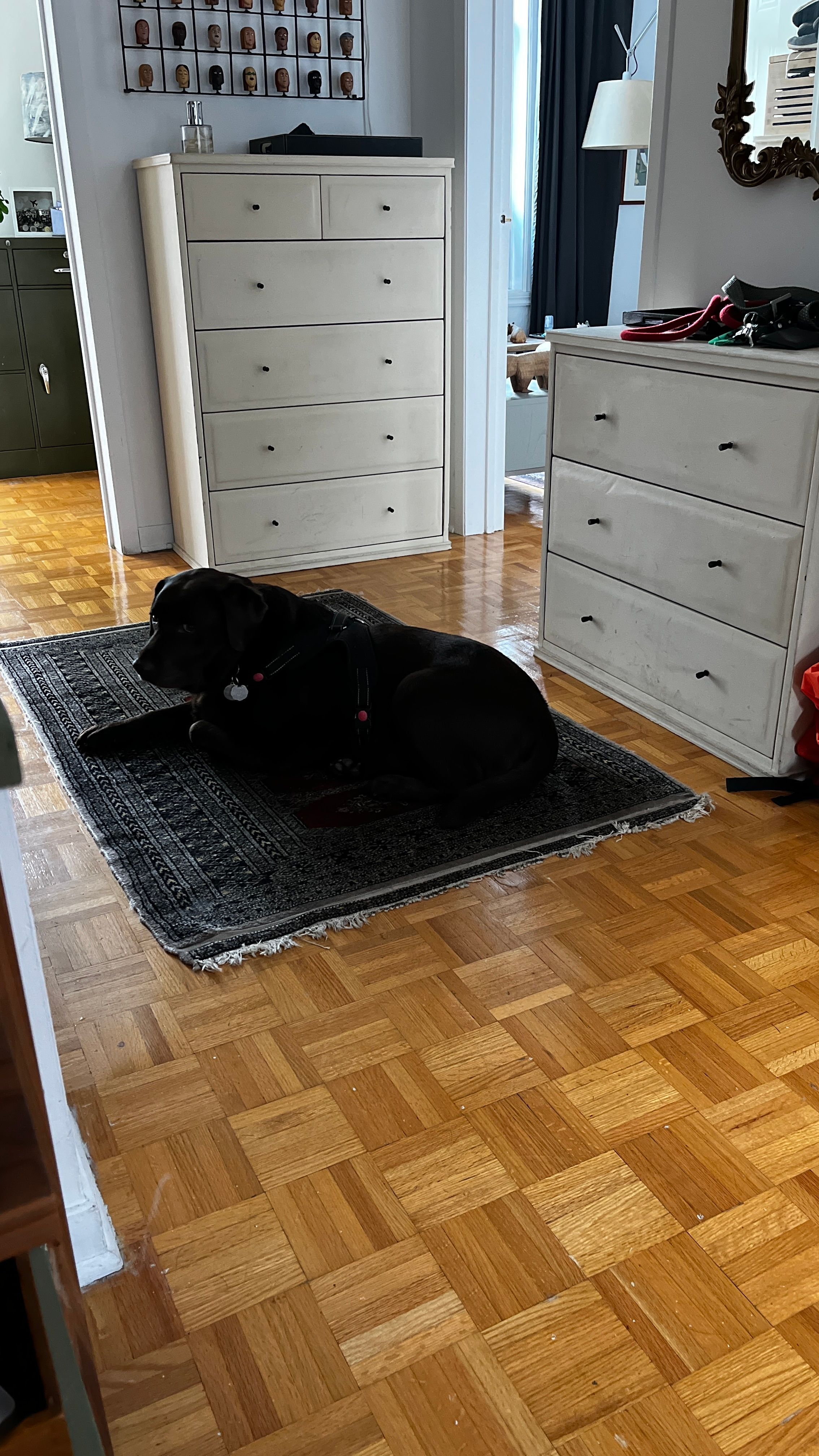 image-18