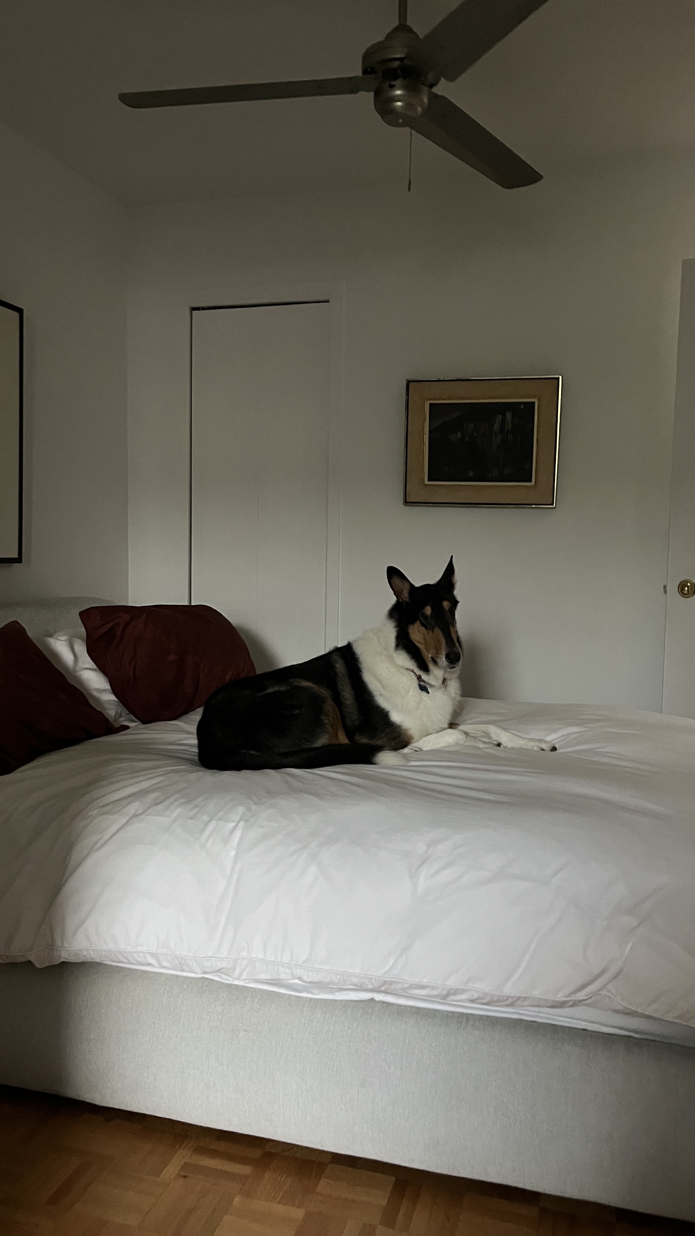 image-19