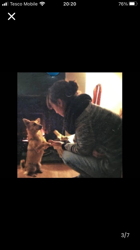 image-3