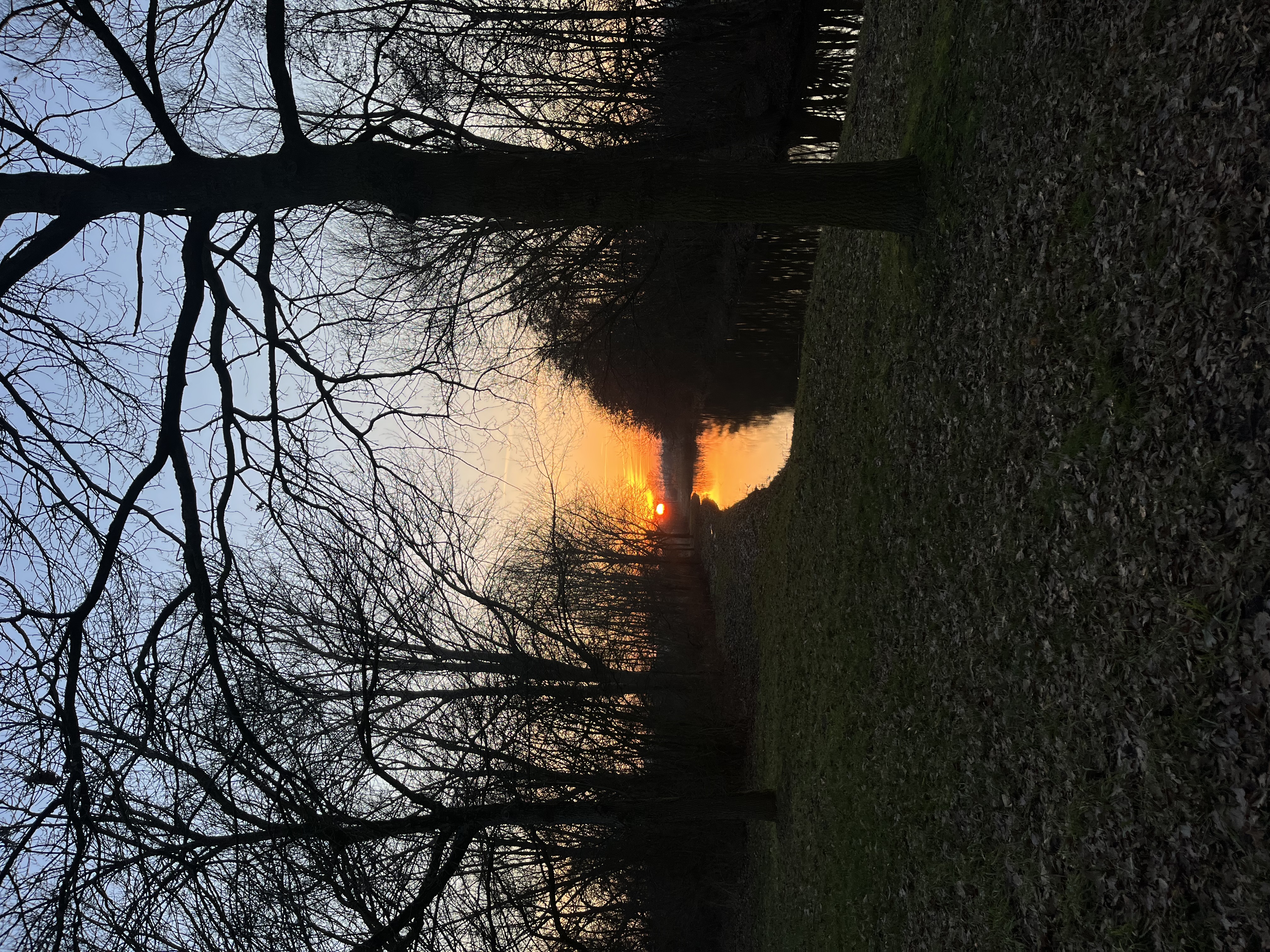 image-8