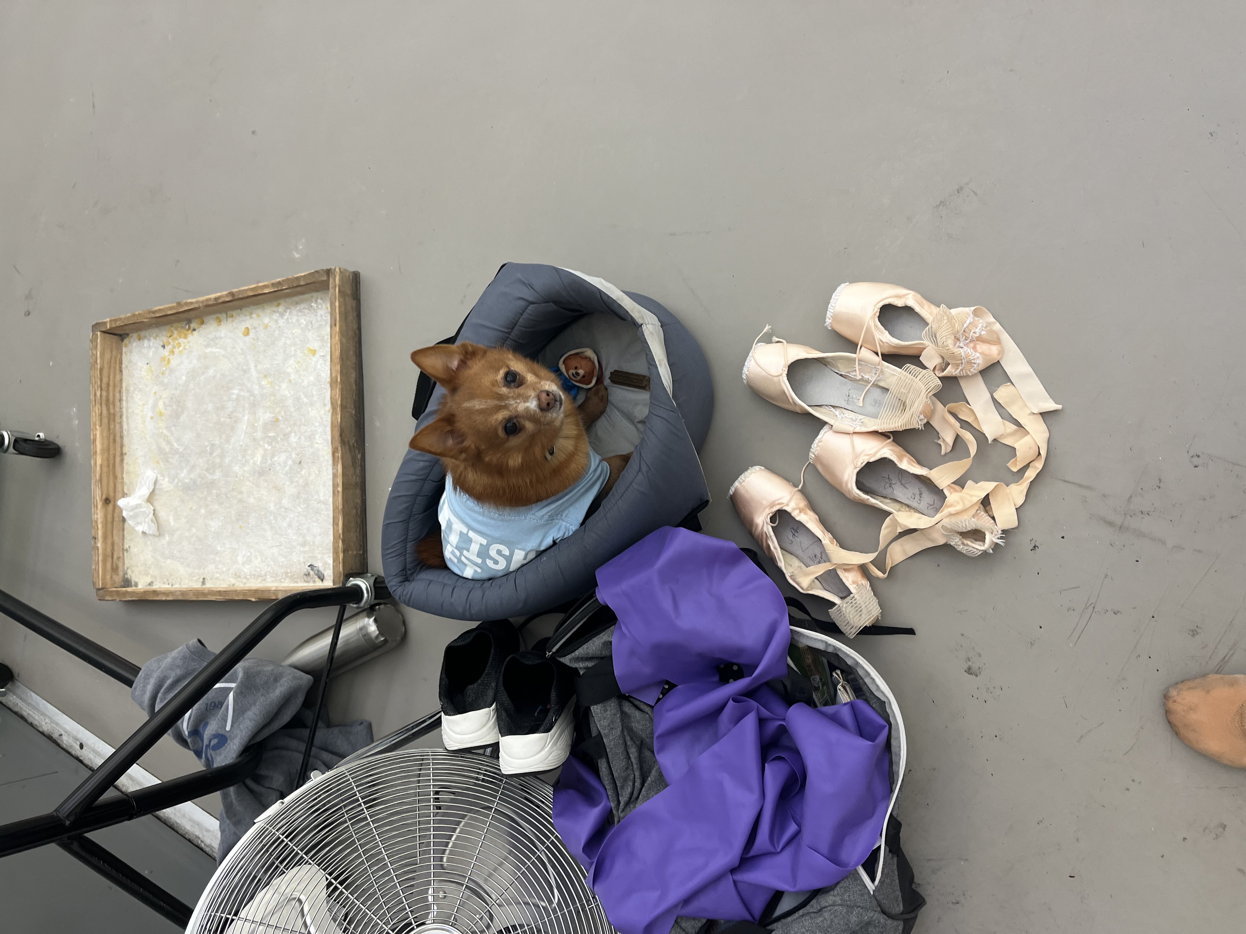 image-7