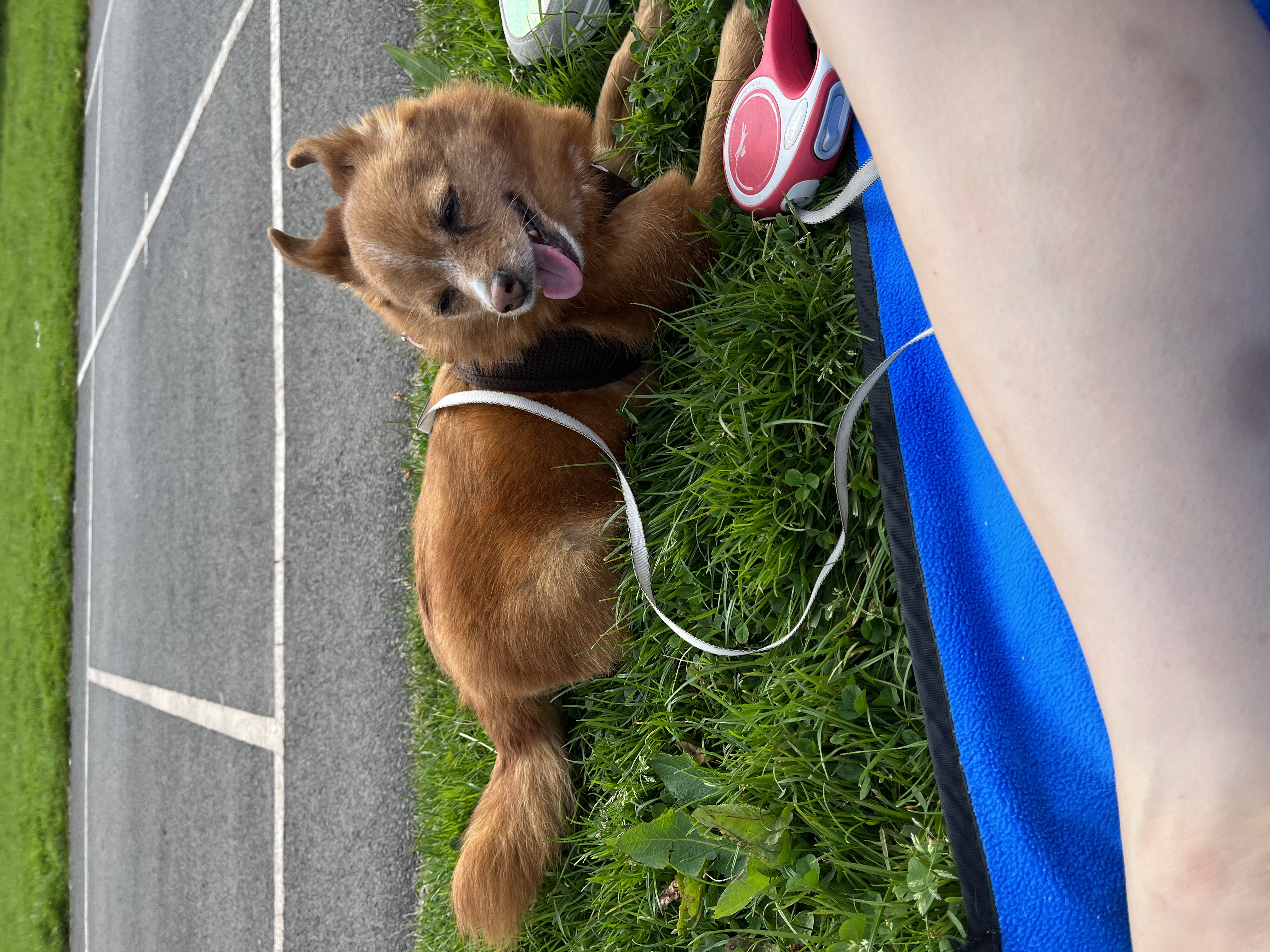 image-9
