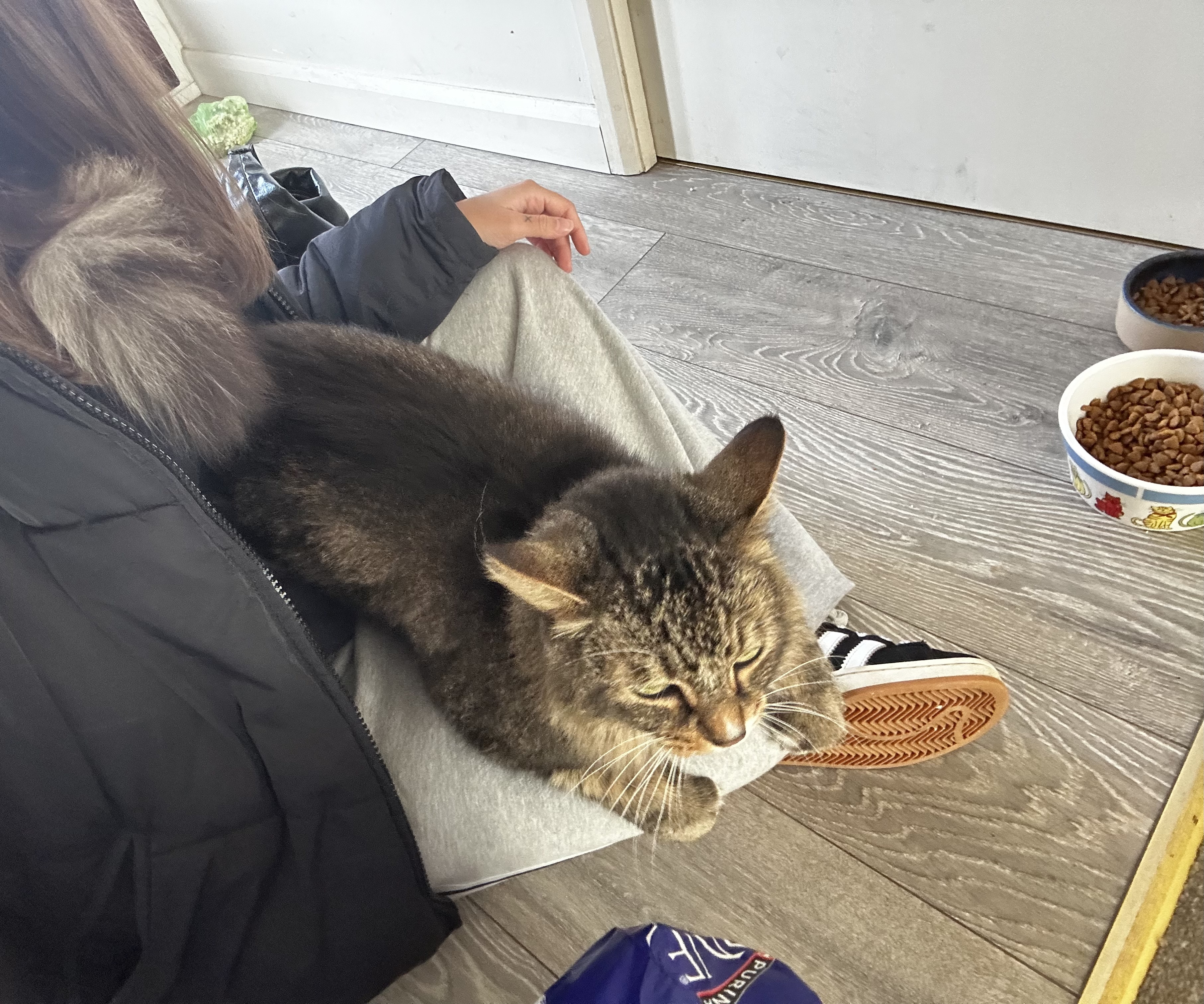 image-11