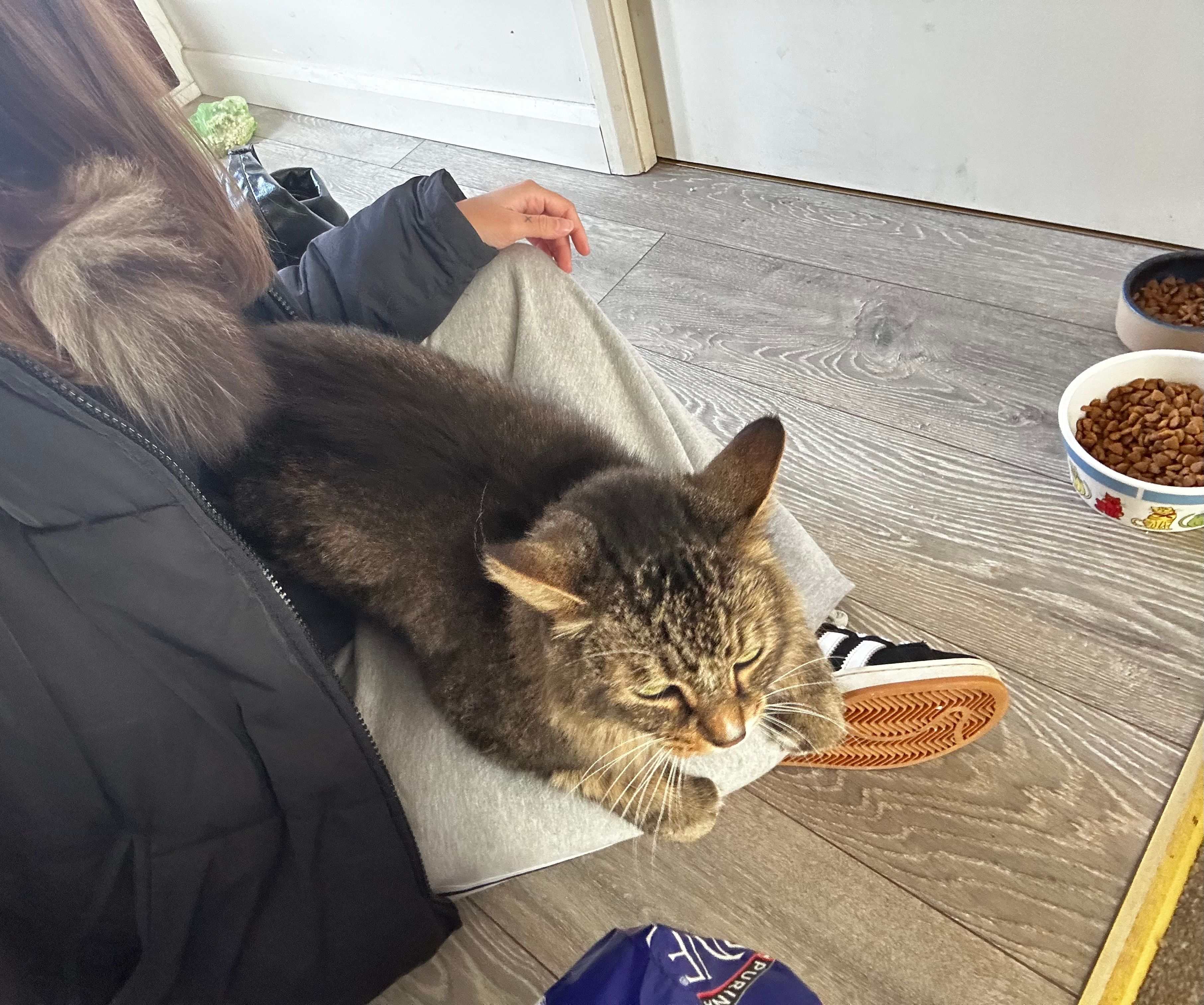 image-11