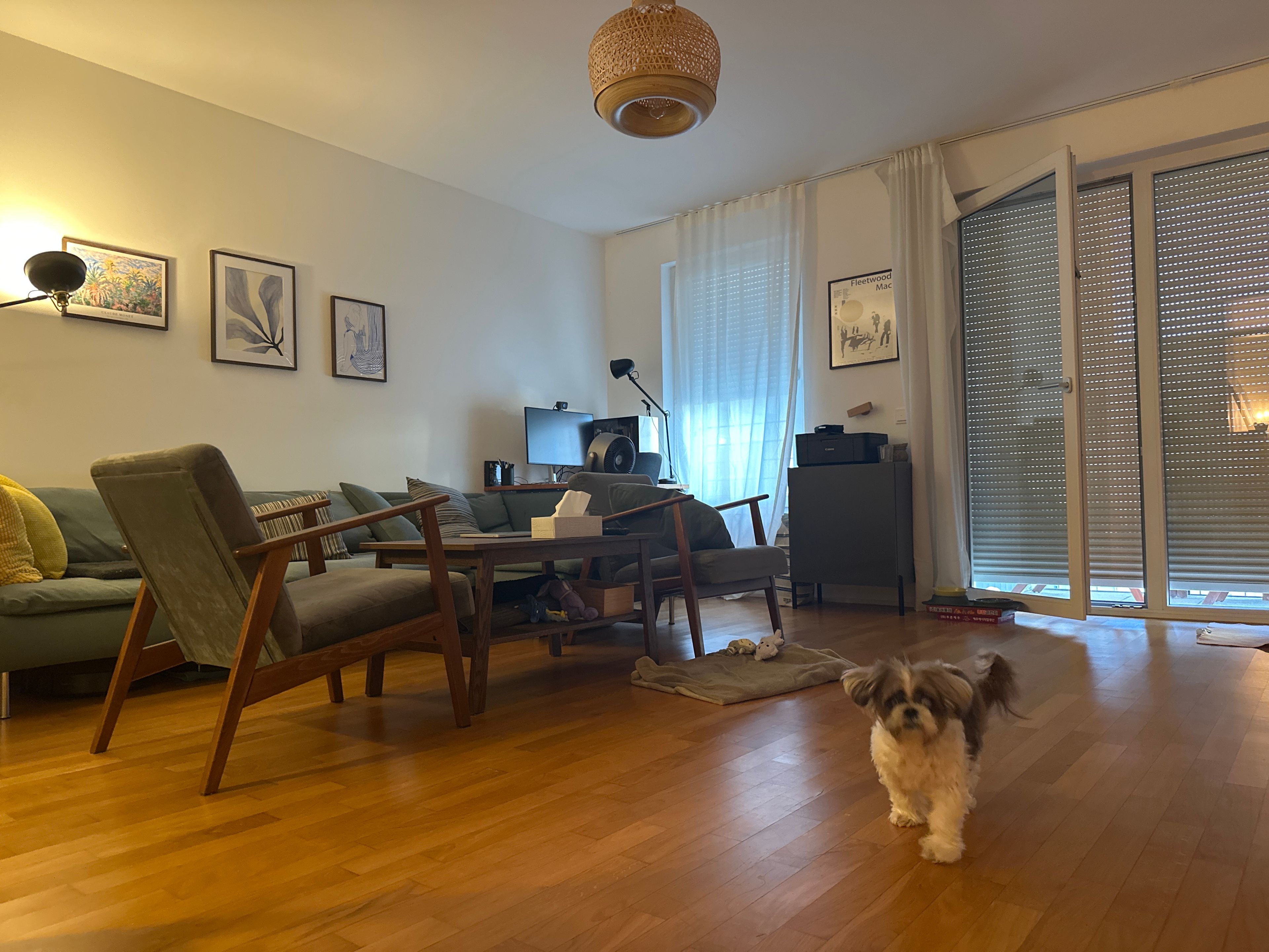 image-8
