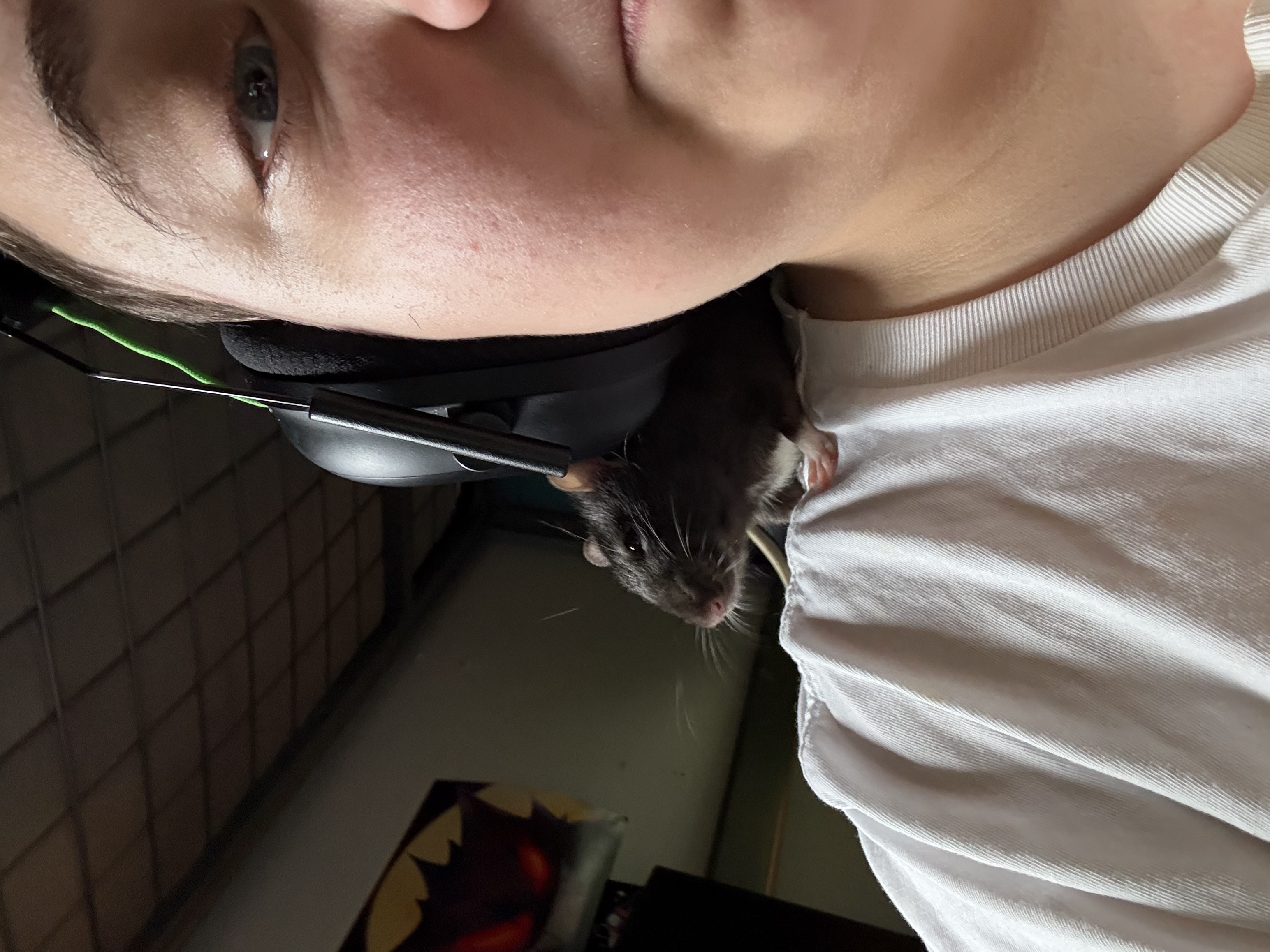 image-4