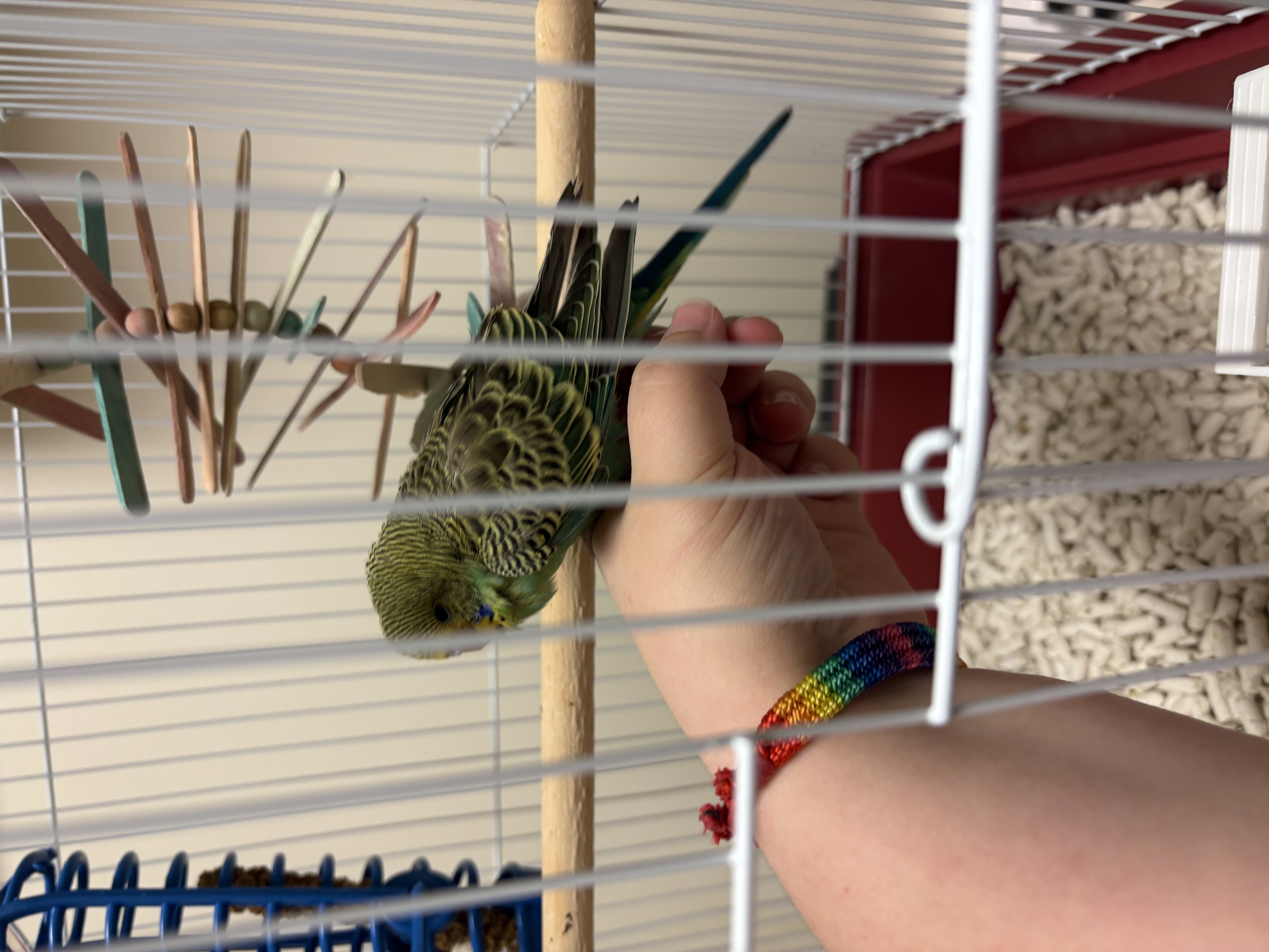 image-9