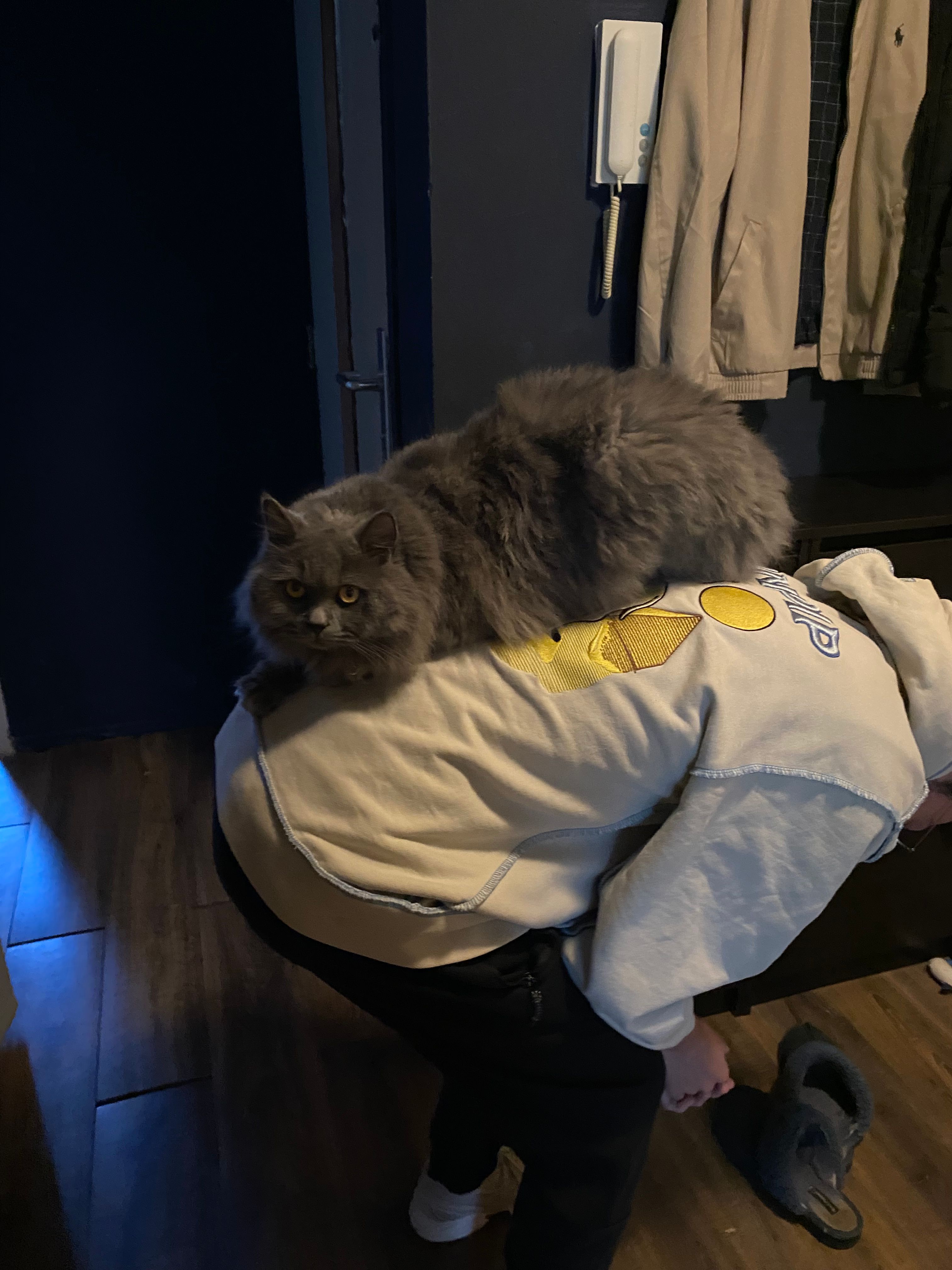 image-7
