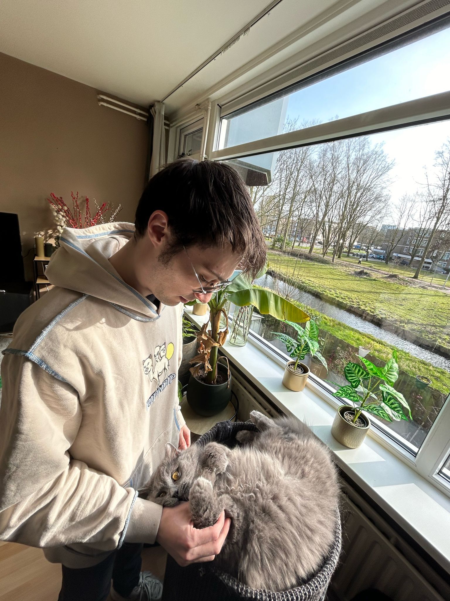 image-1