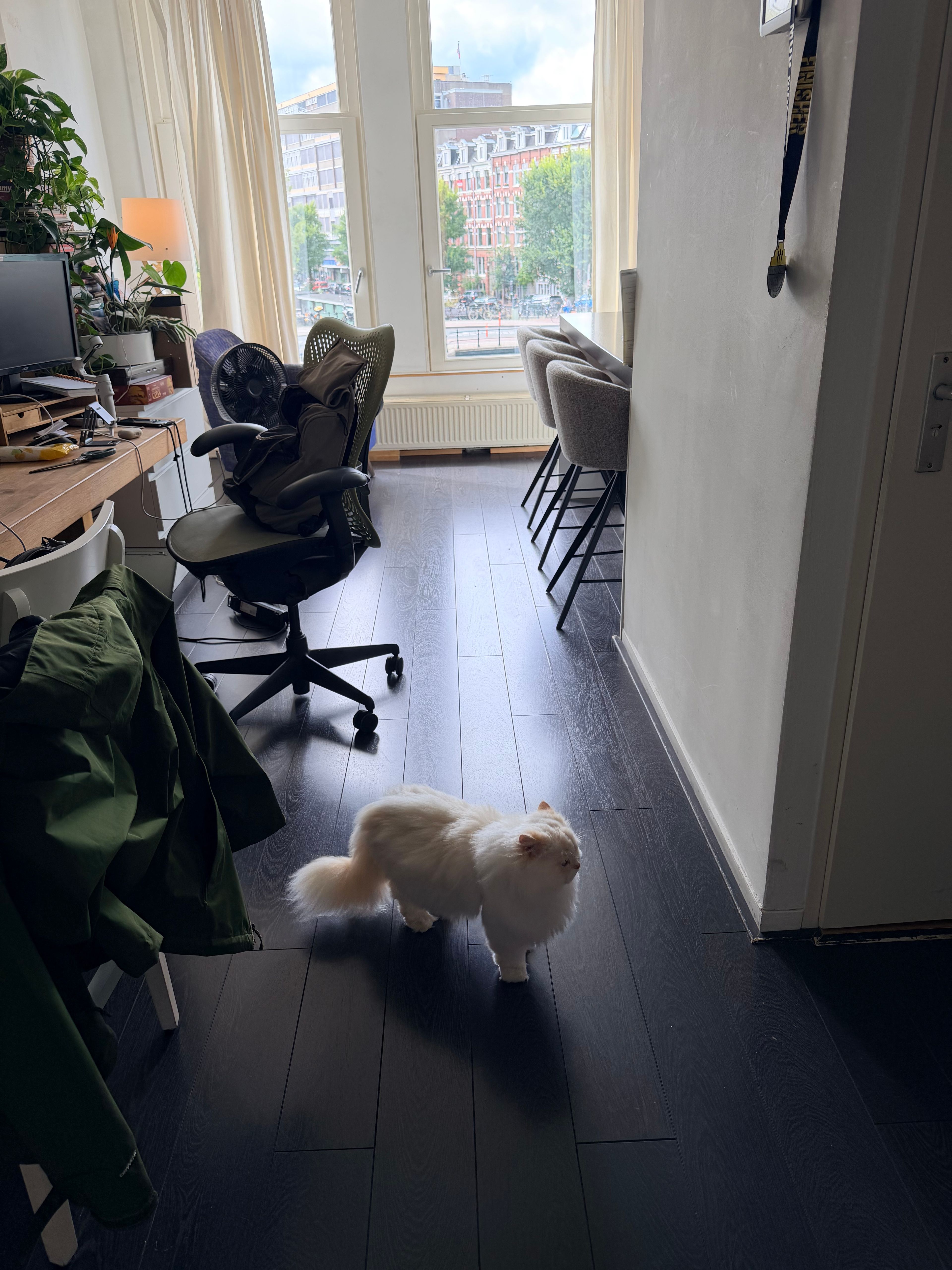 image-5