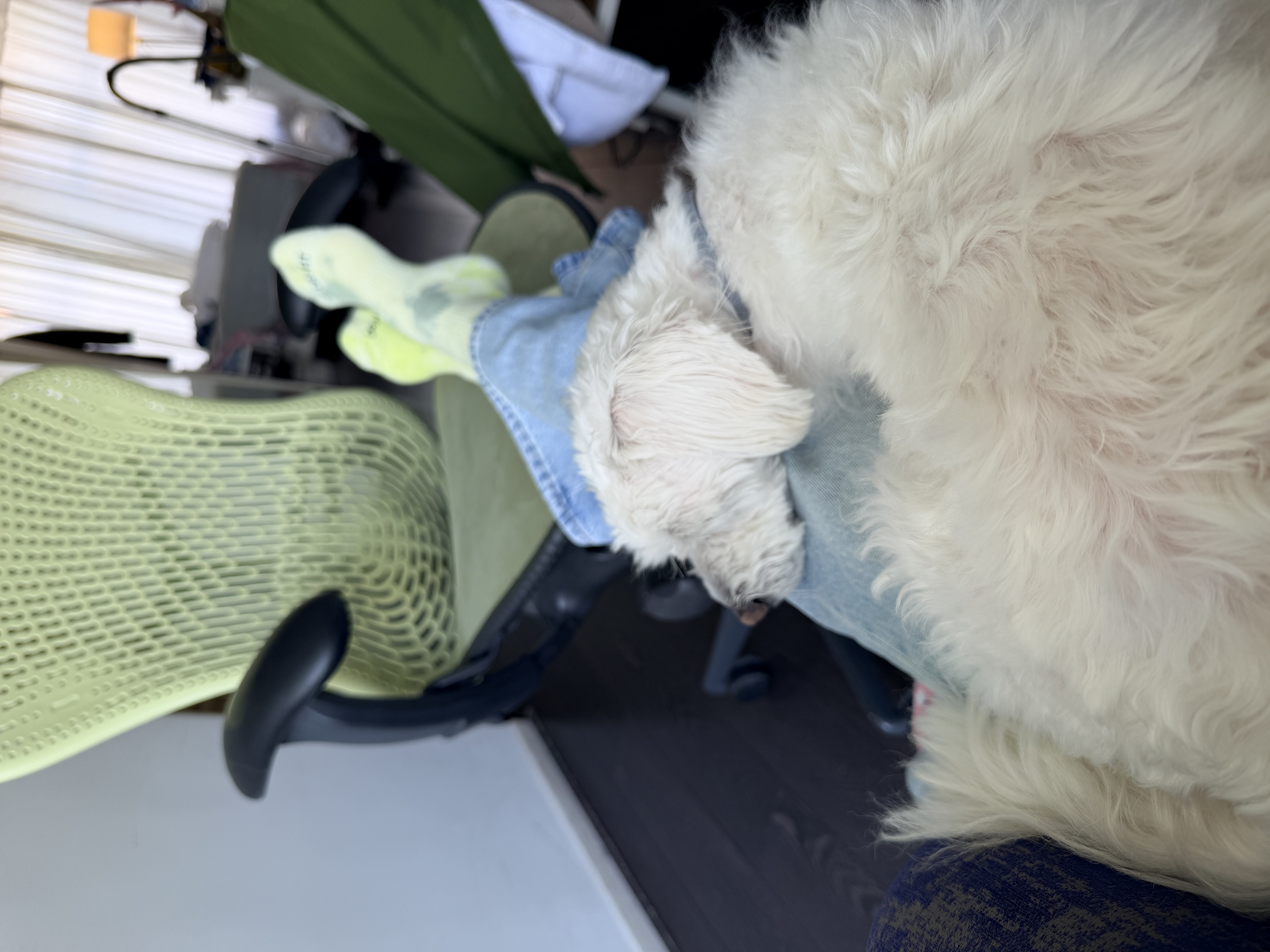 image-6