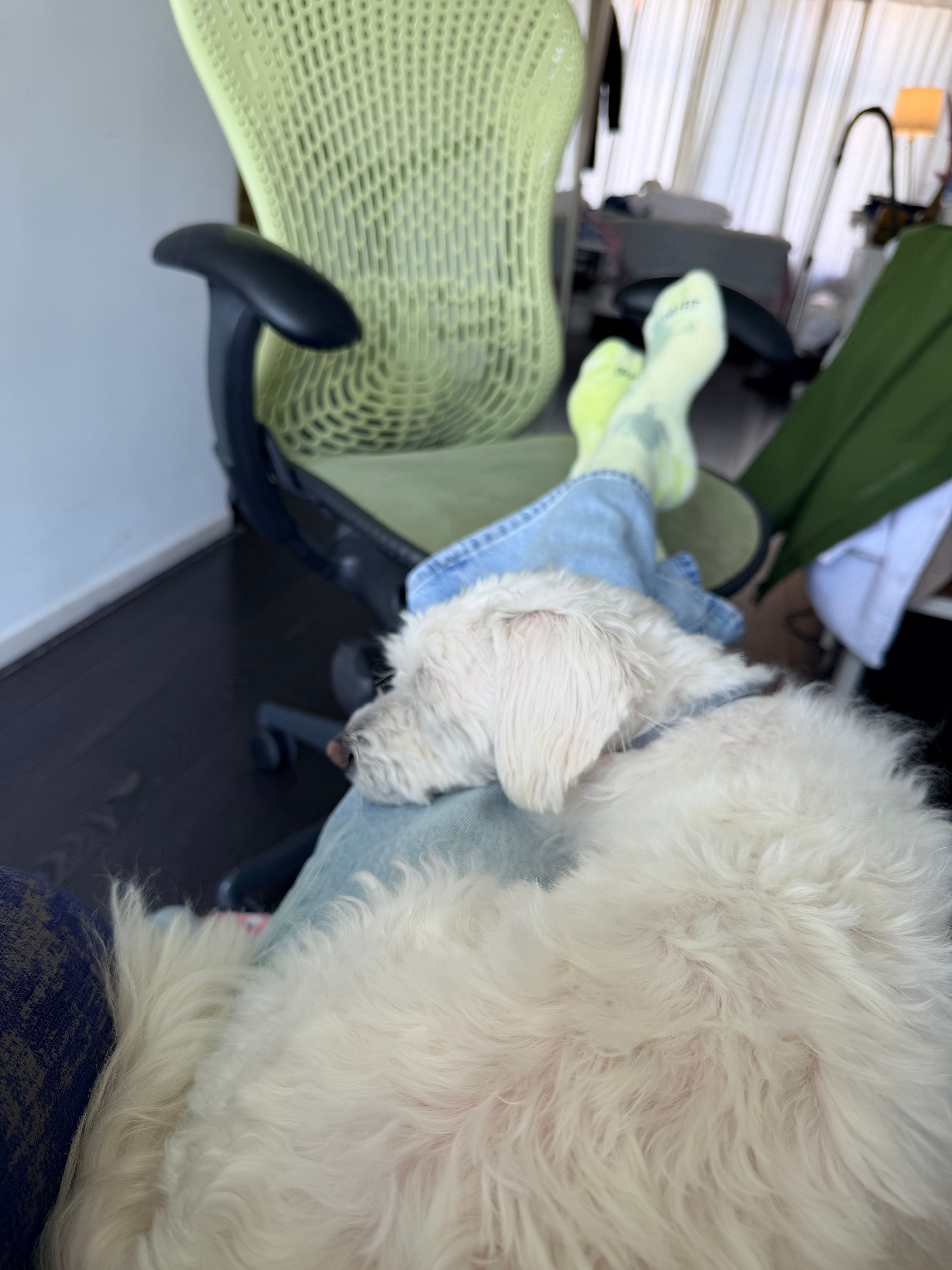 image-6
