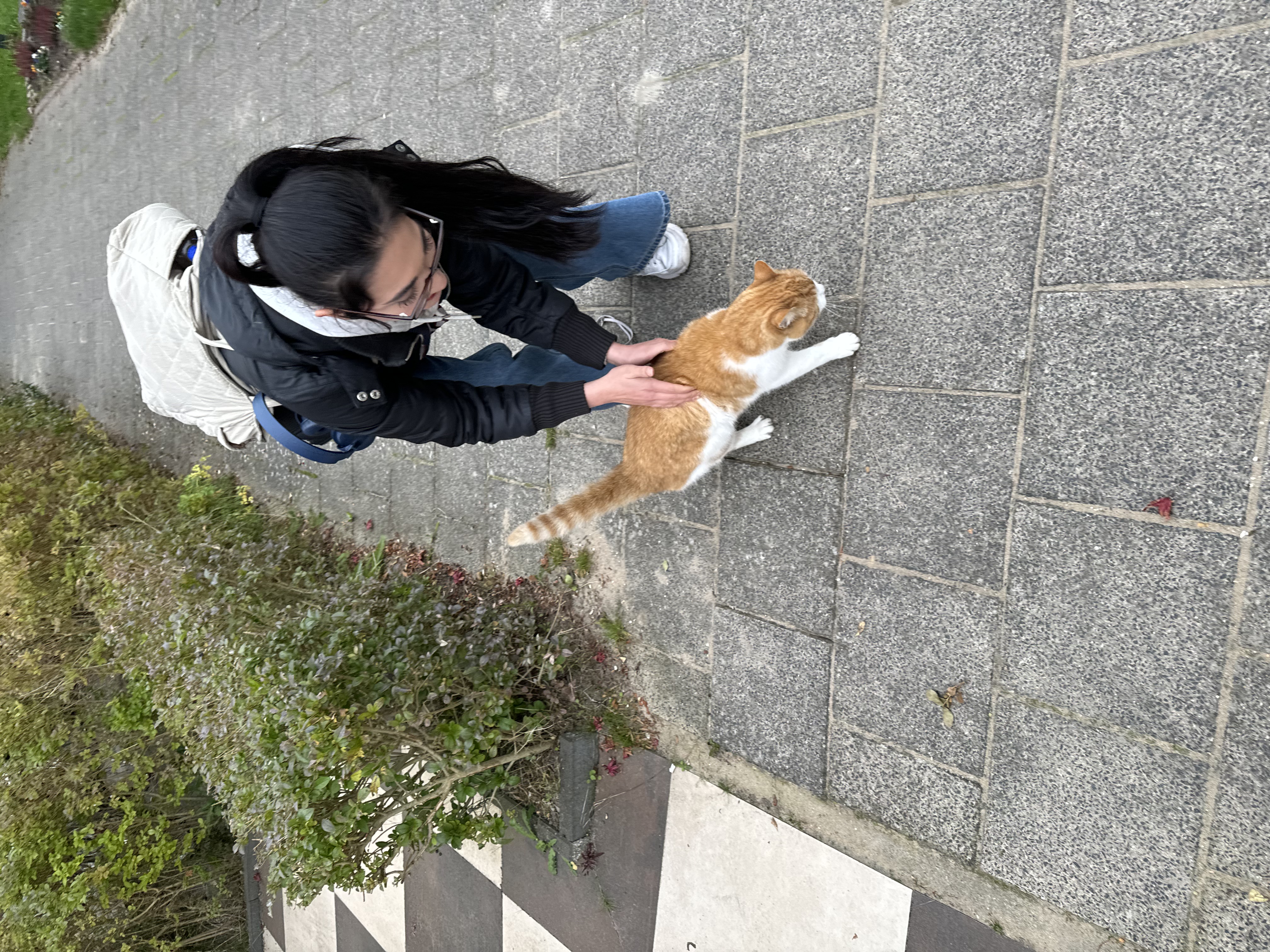 image-3