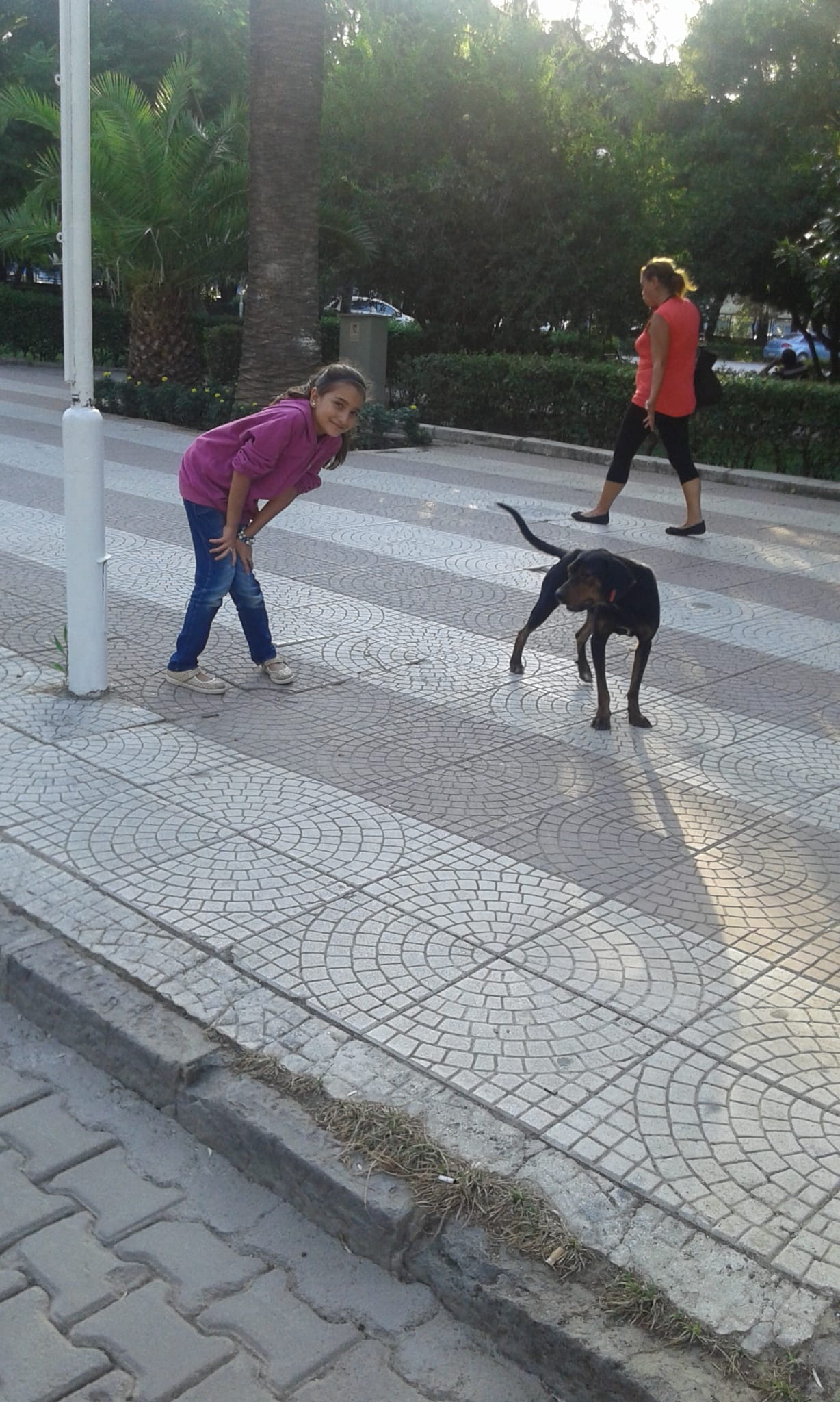 image-7