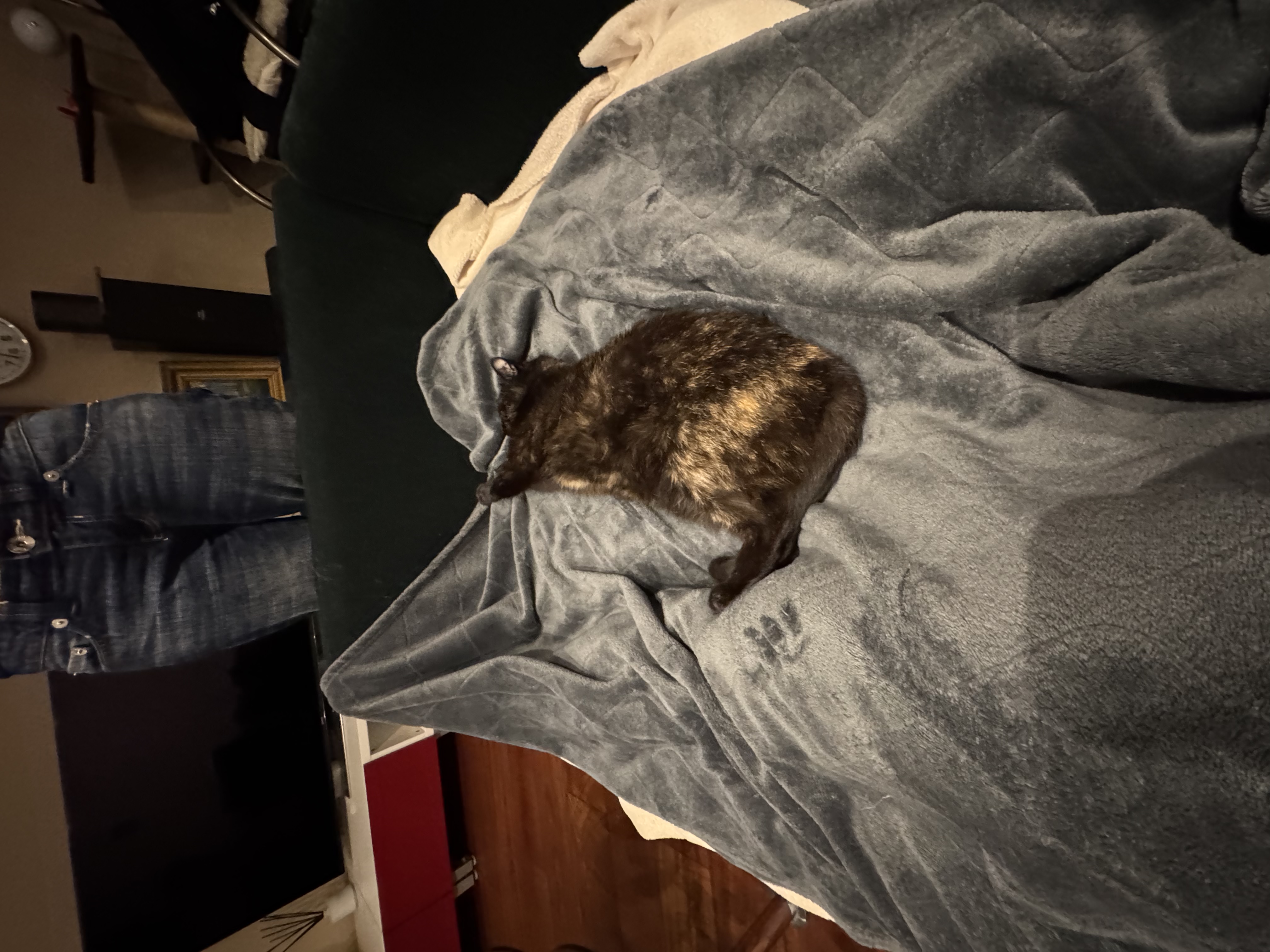 image-6
