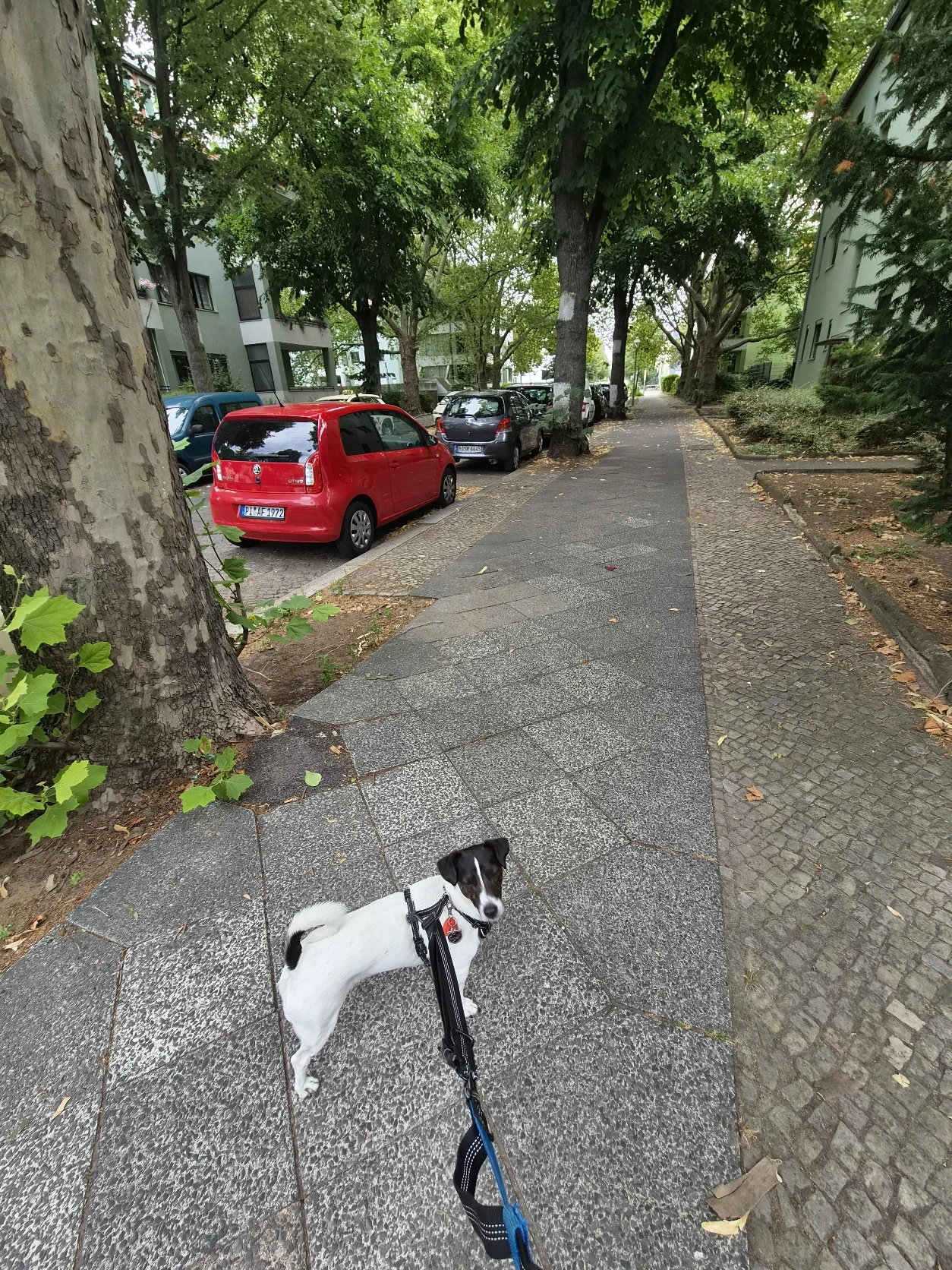 image-5