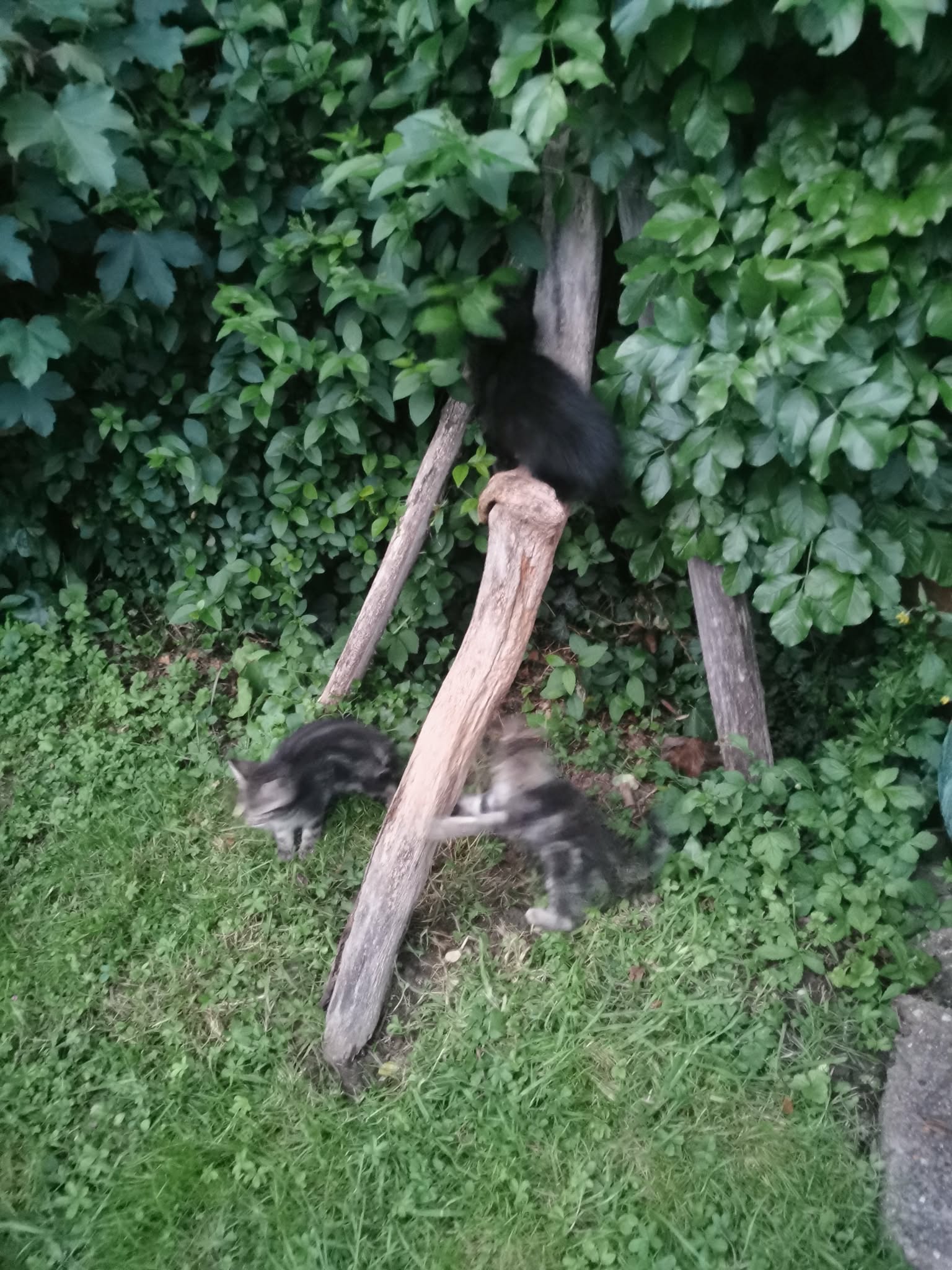 image-5