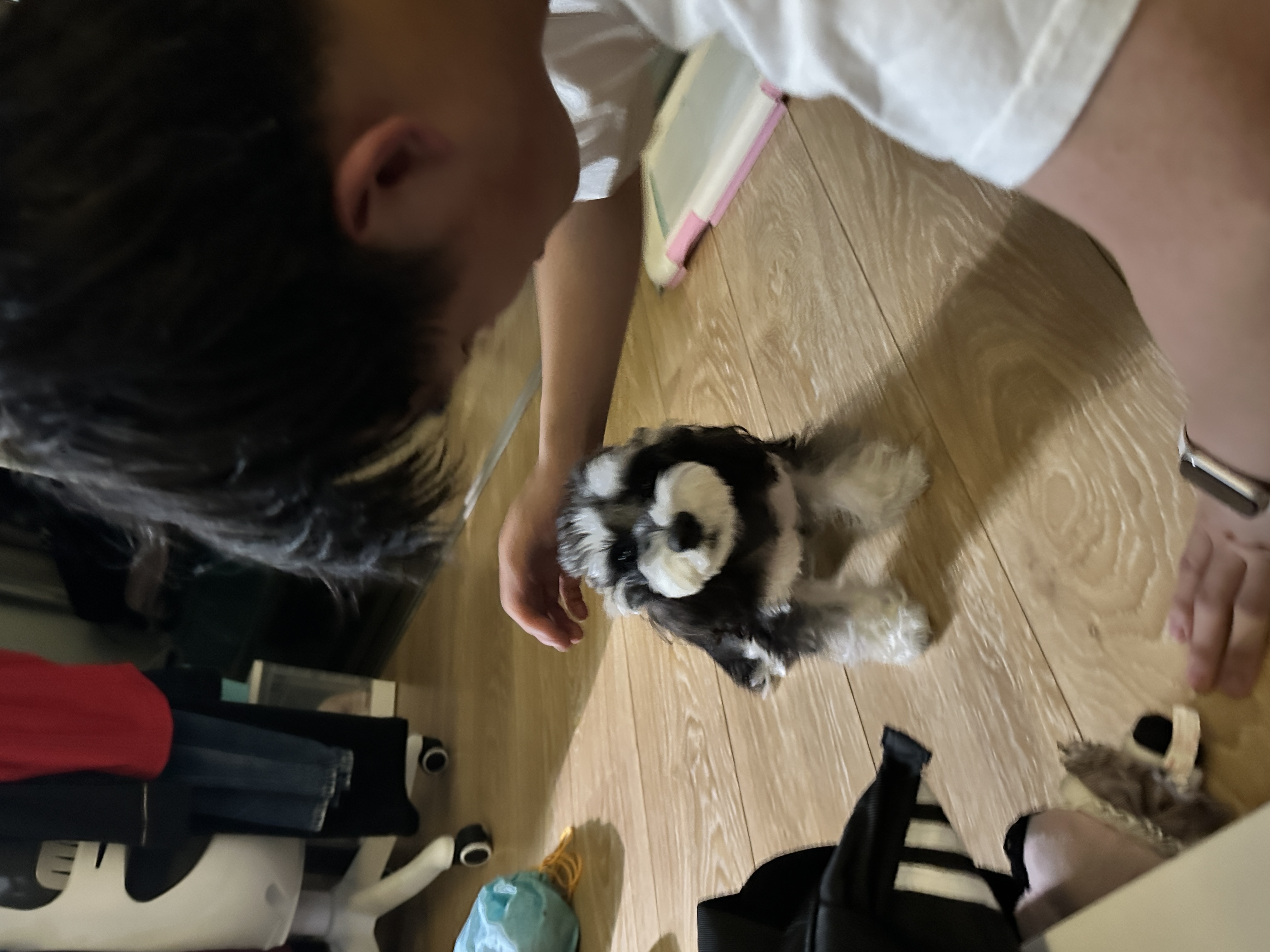 image-4