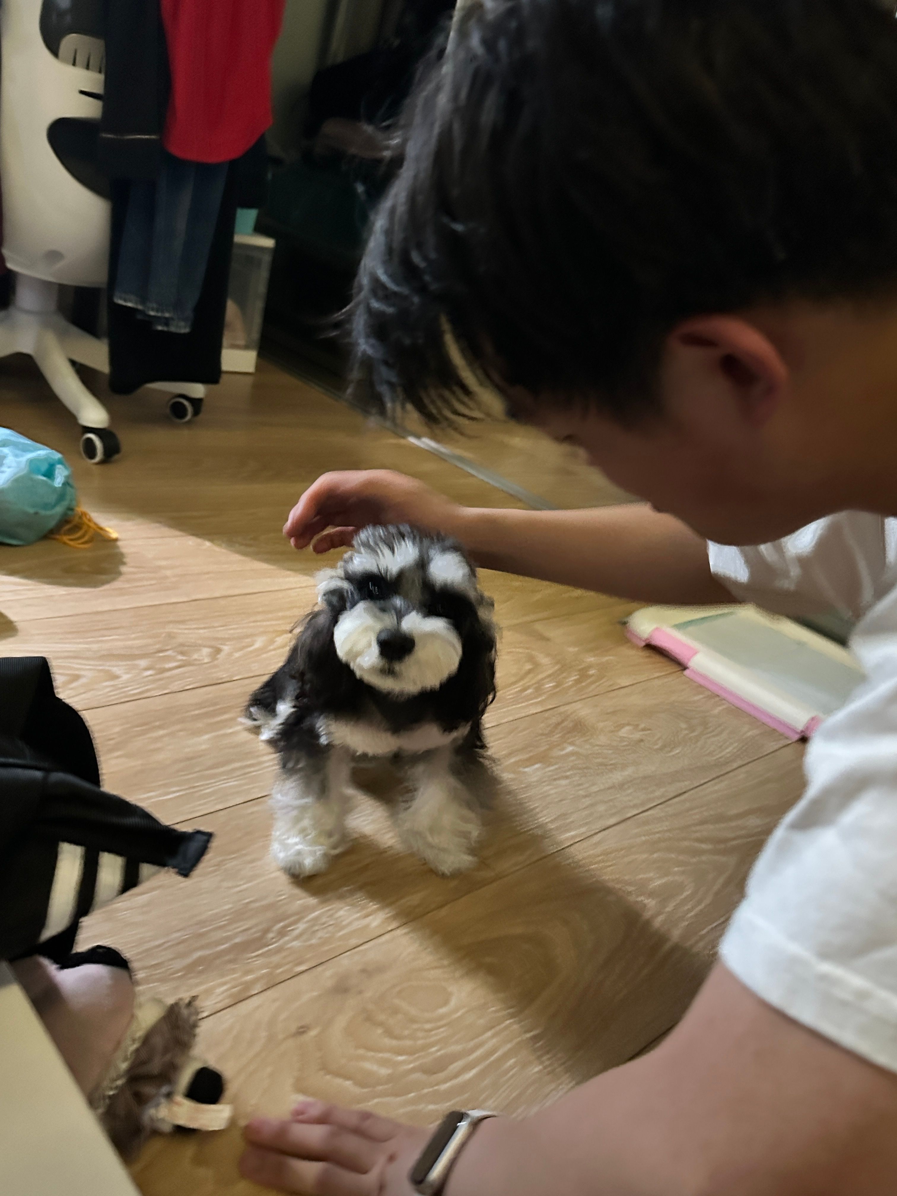 image-4