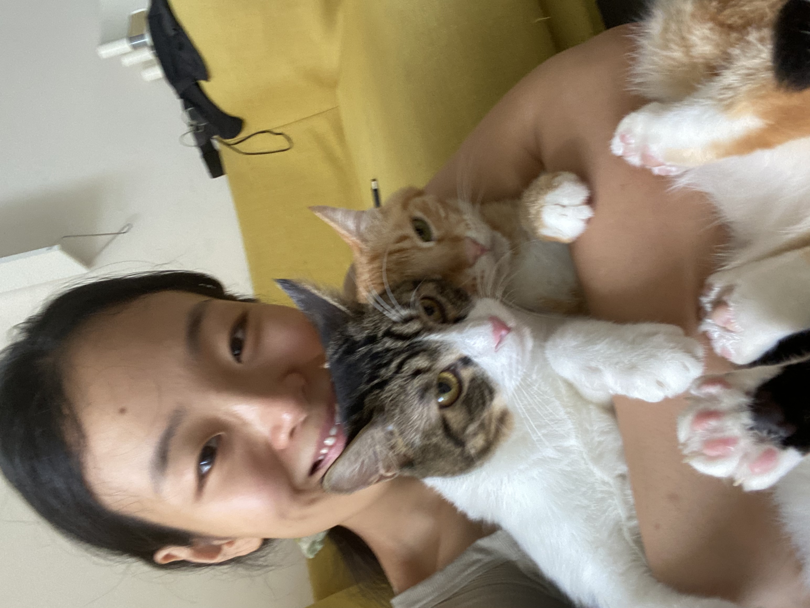 image-4