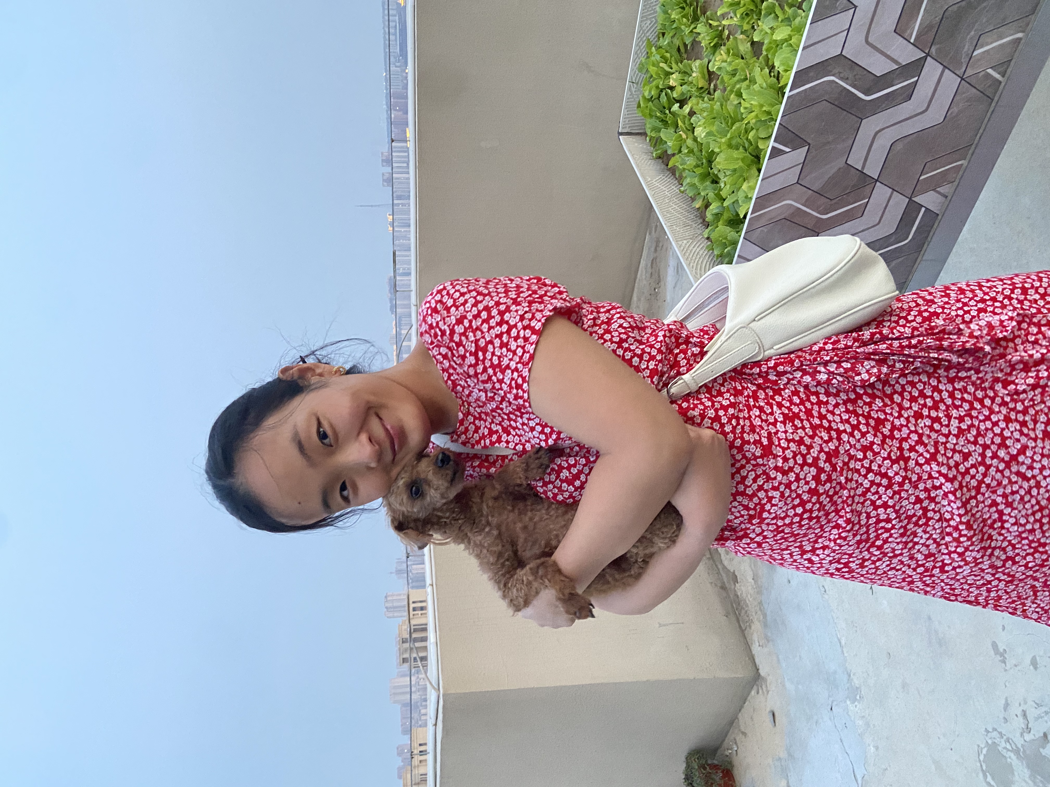 image-6