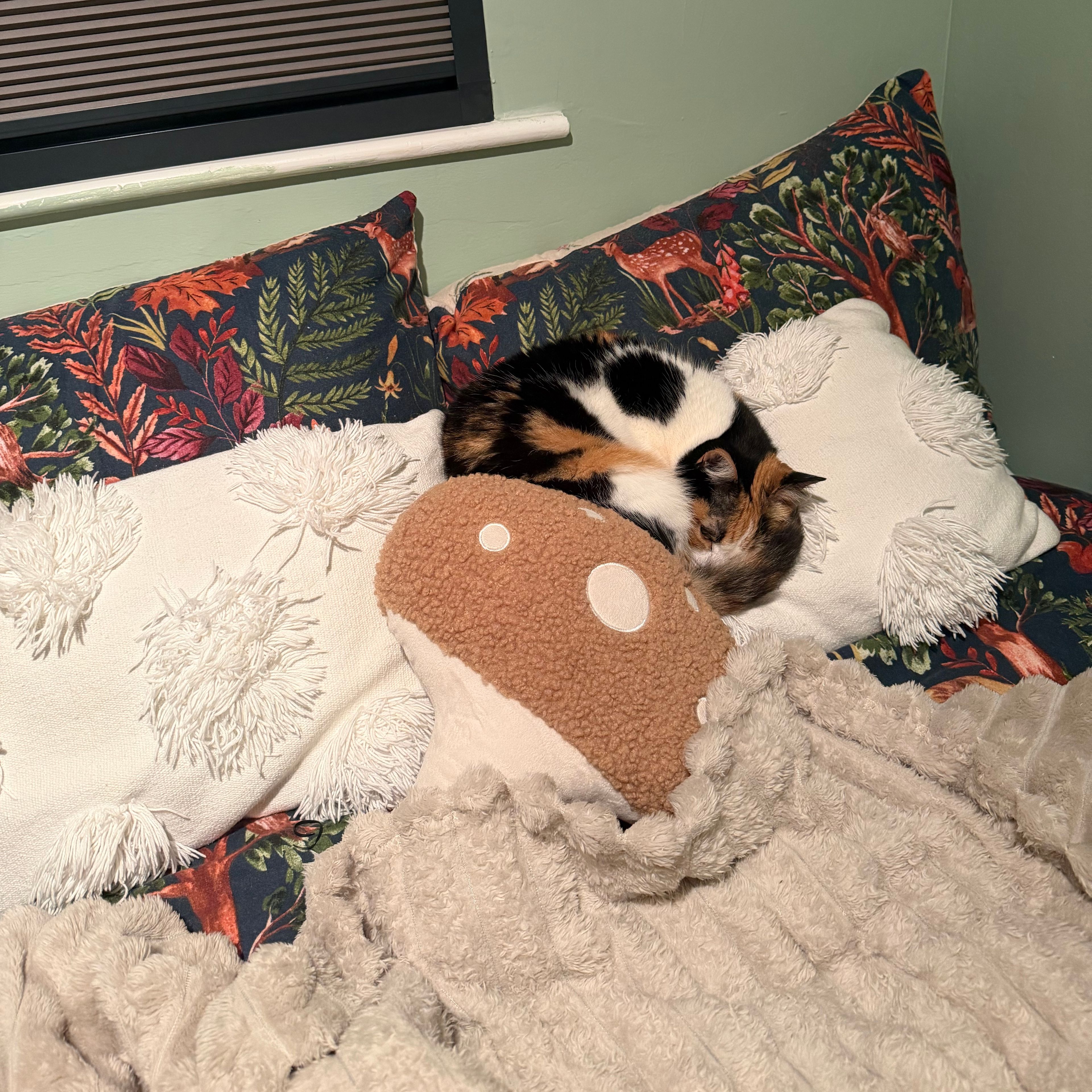 Kitty
