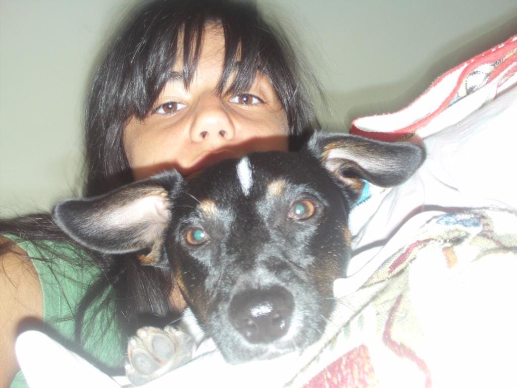 image-8