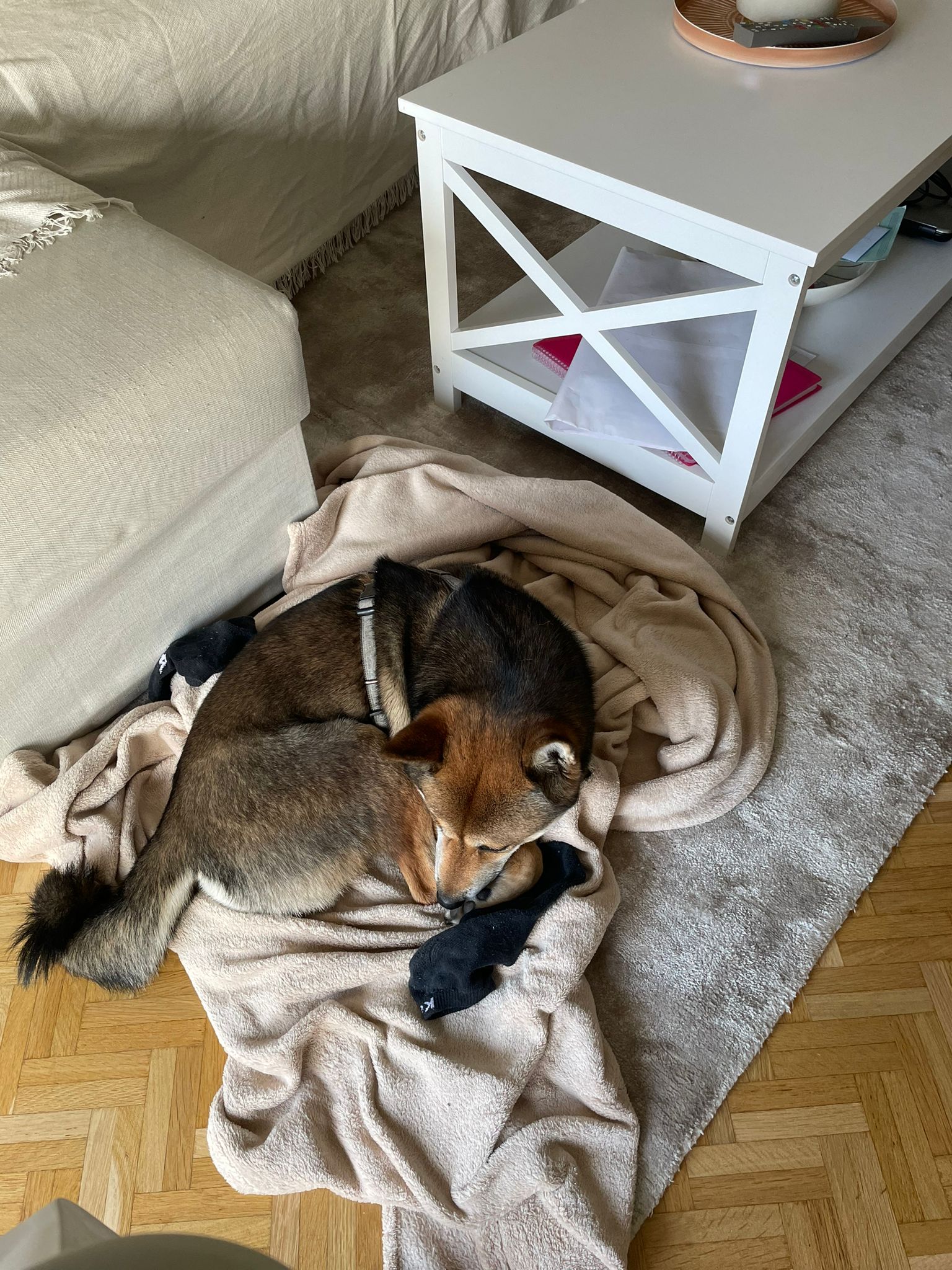 image-13