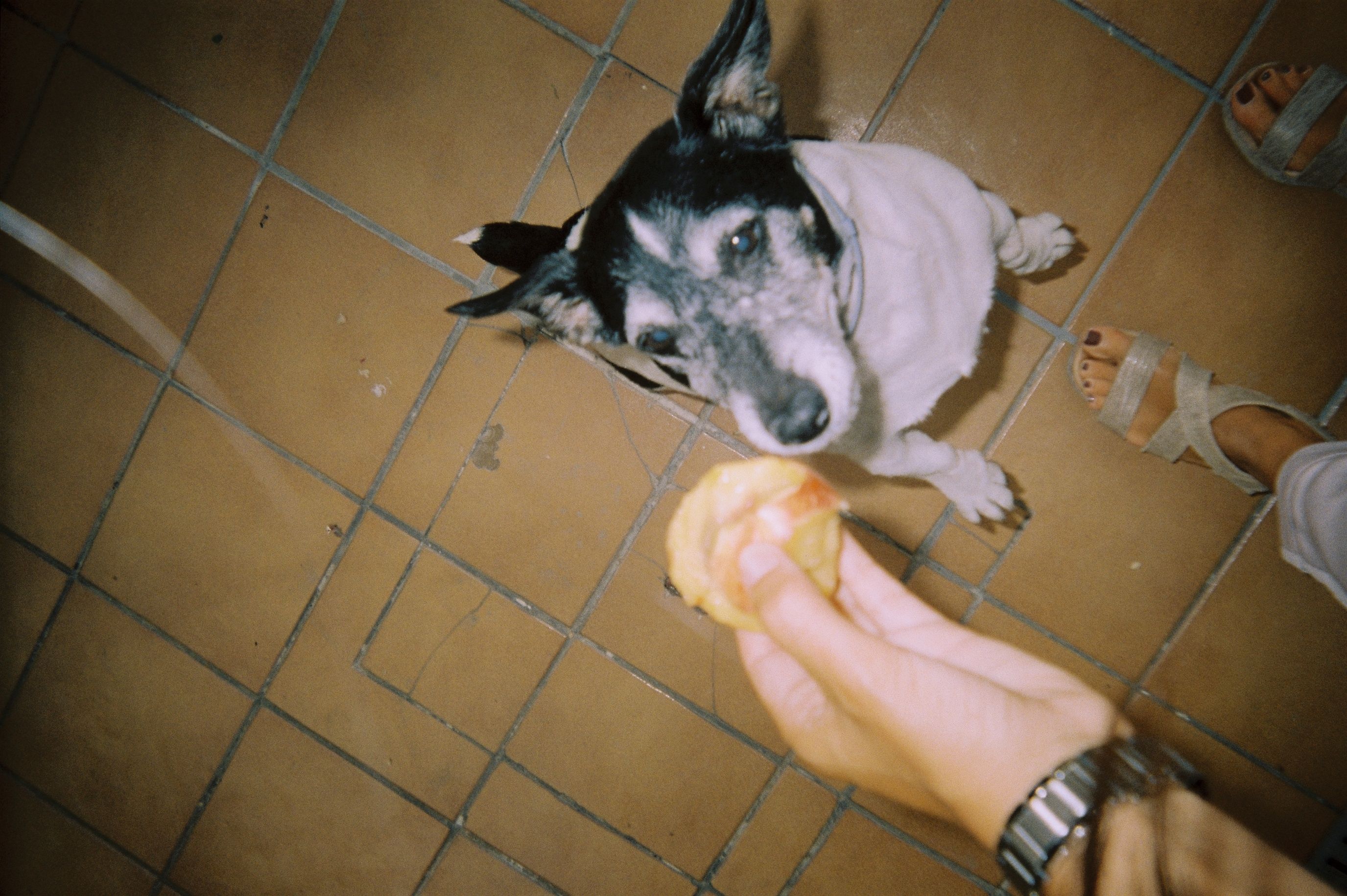 image-6