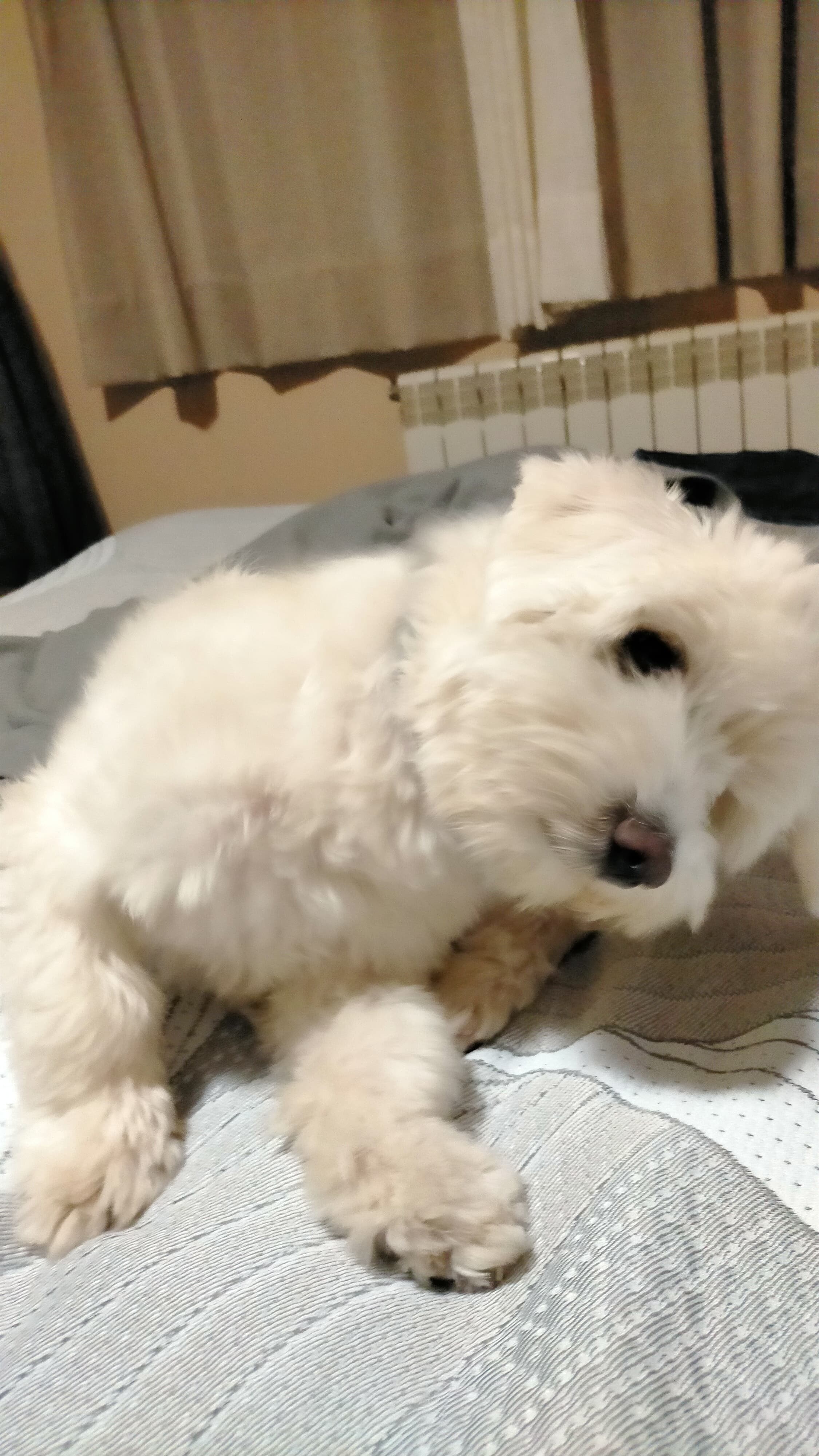 image-5