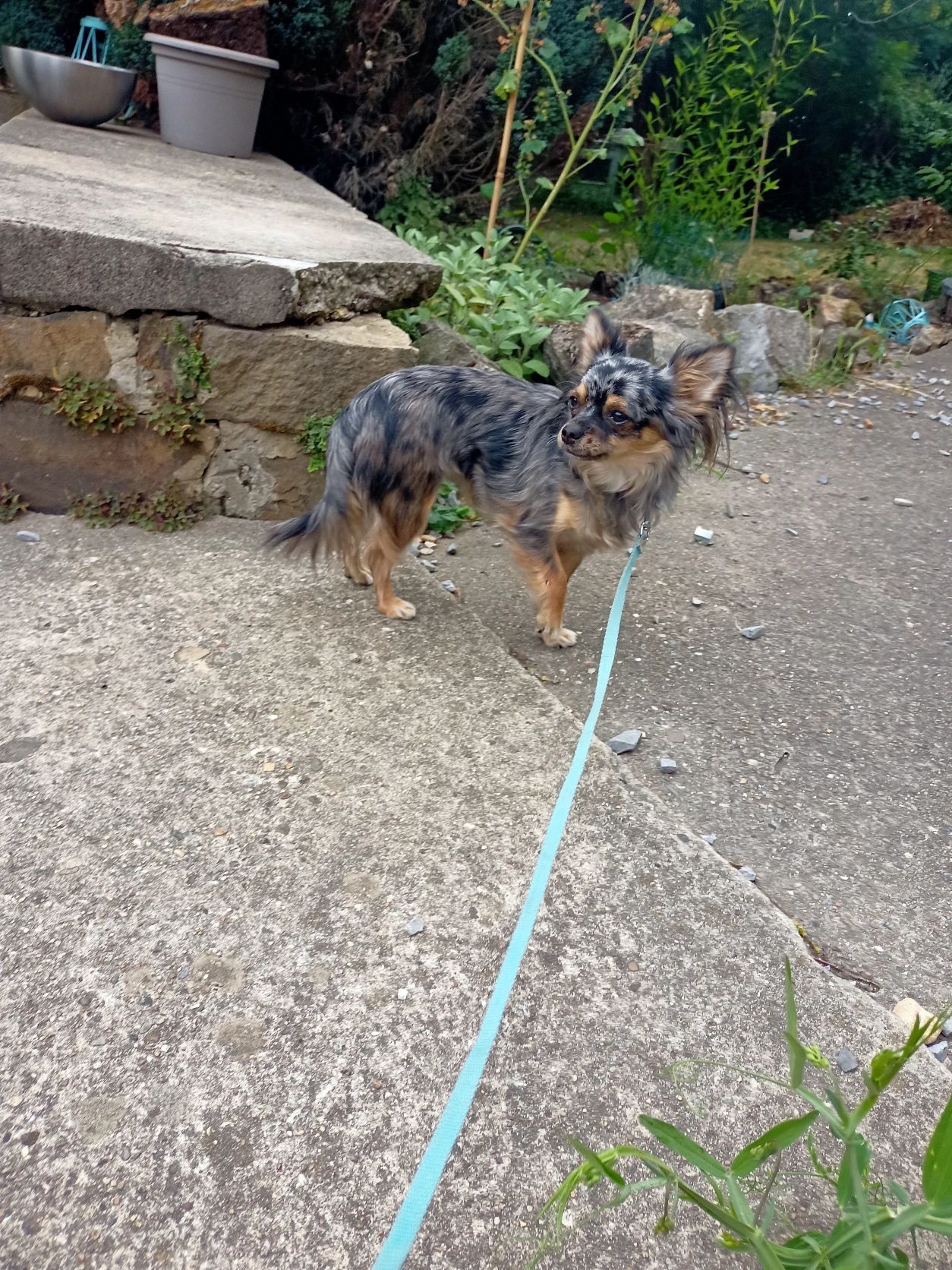 image-11