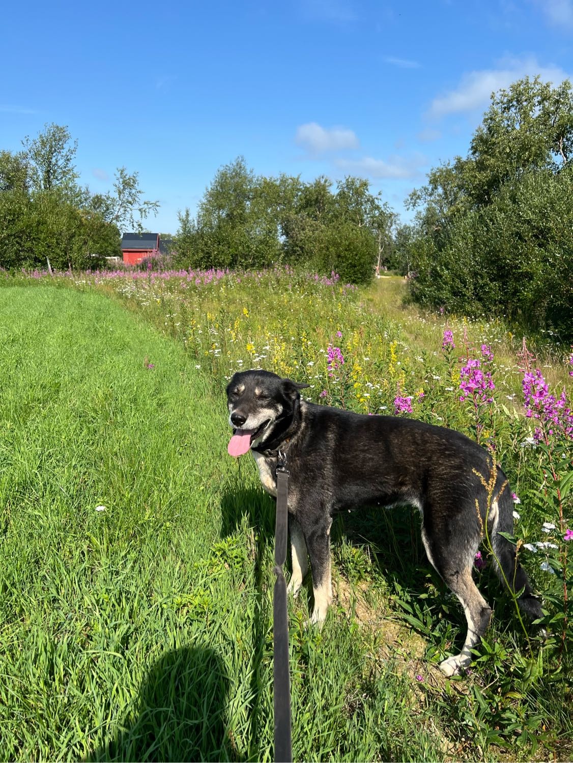 image-7
