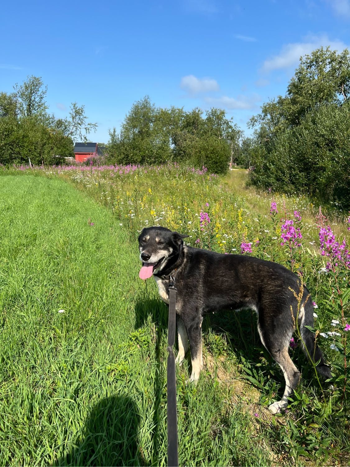 image-7