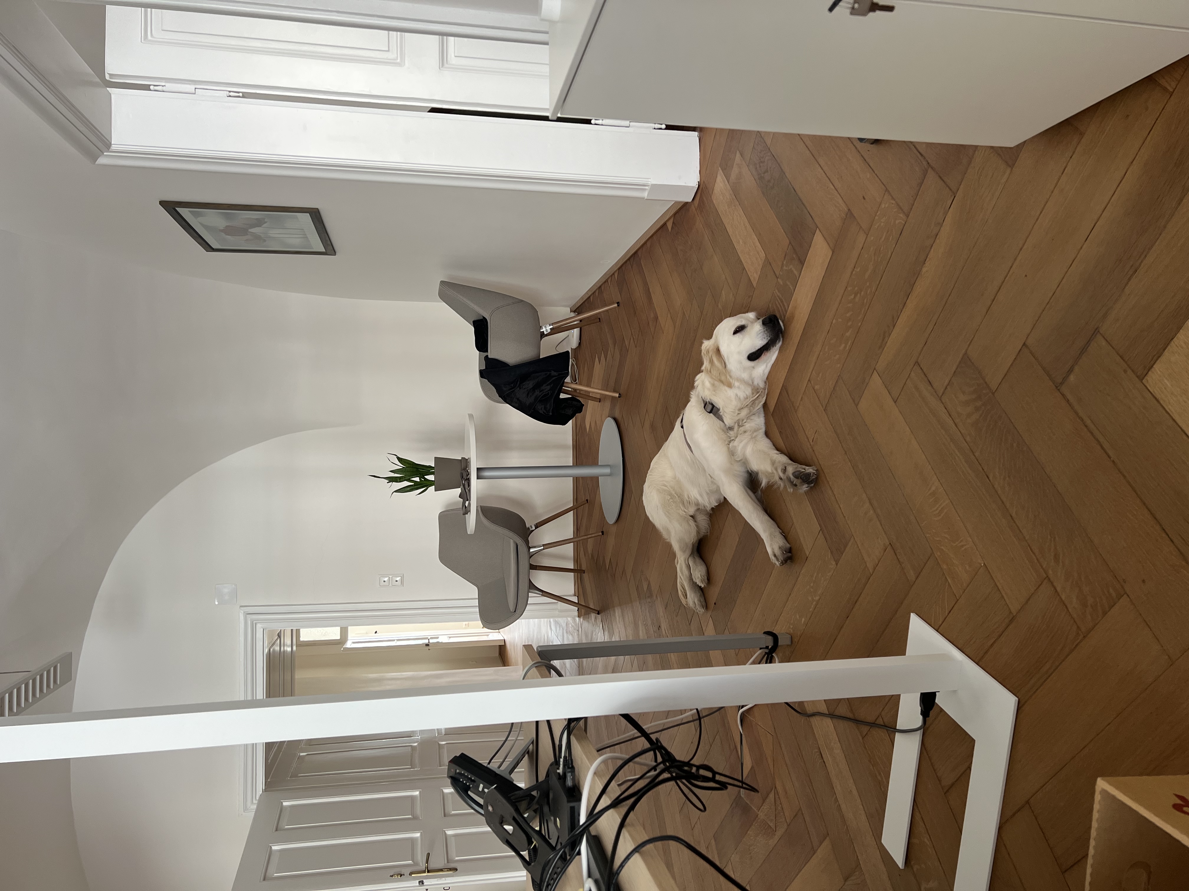 image-20
