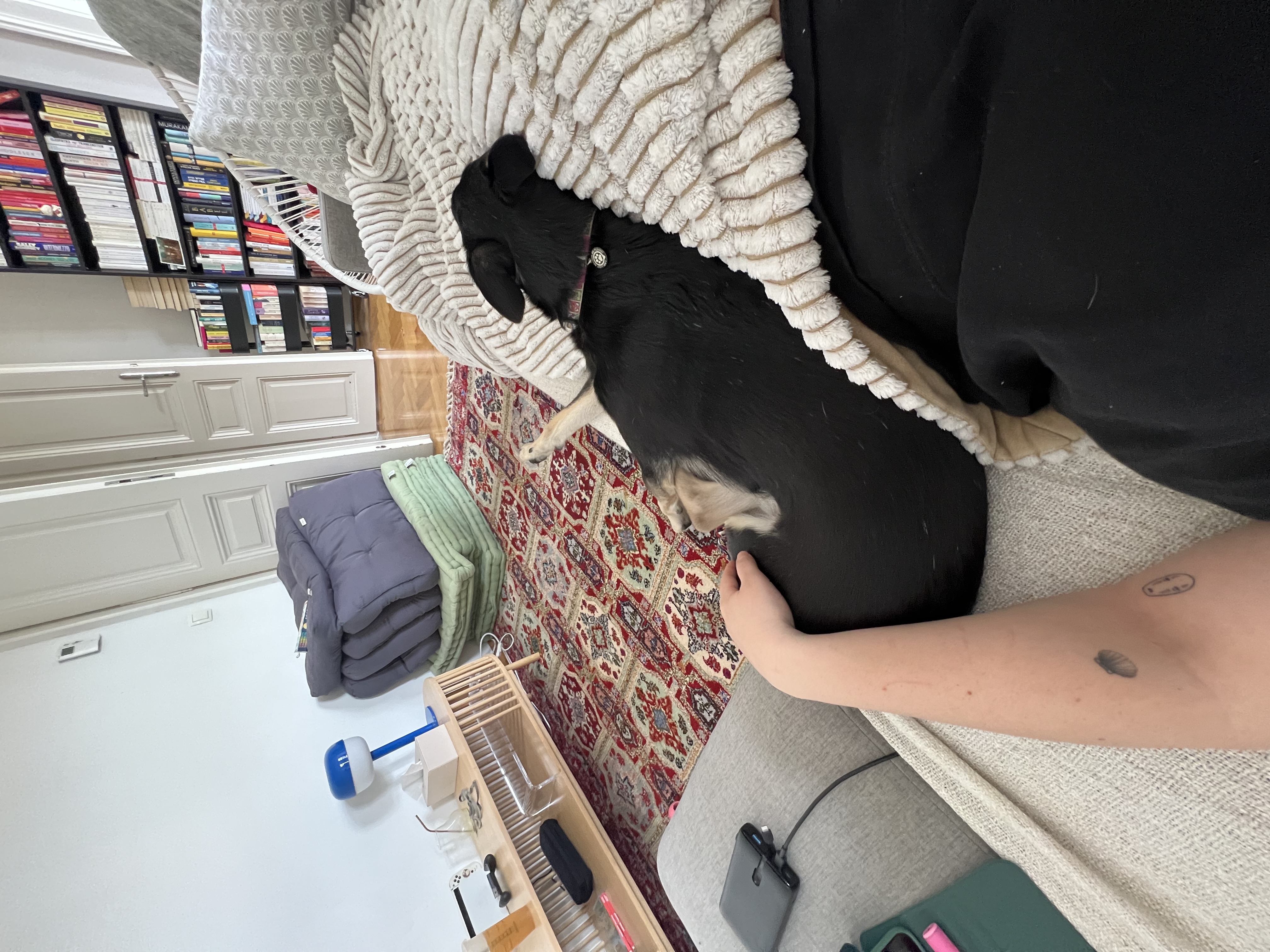 image-16