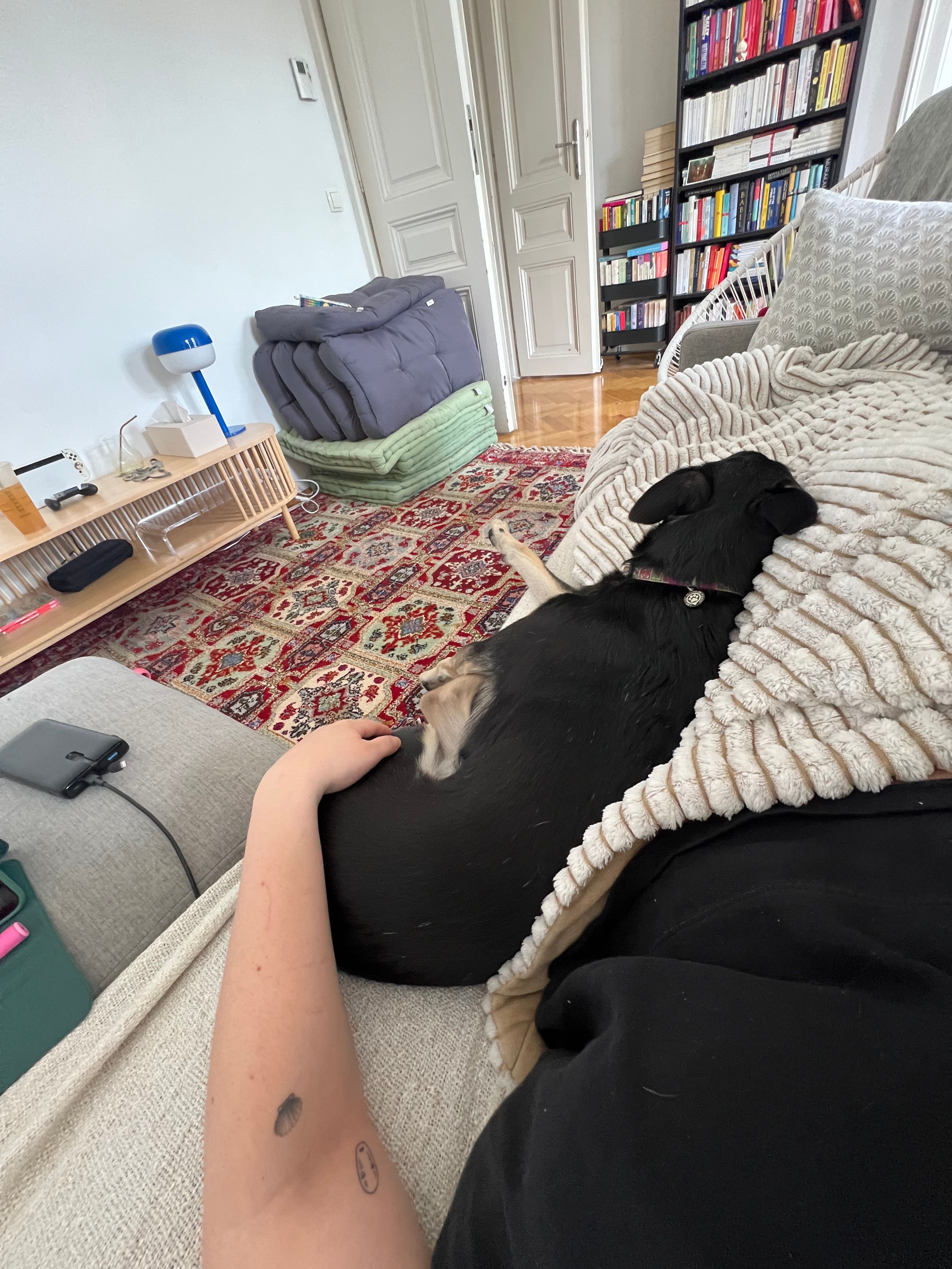 image-16