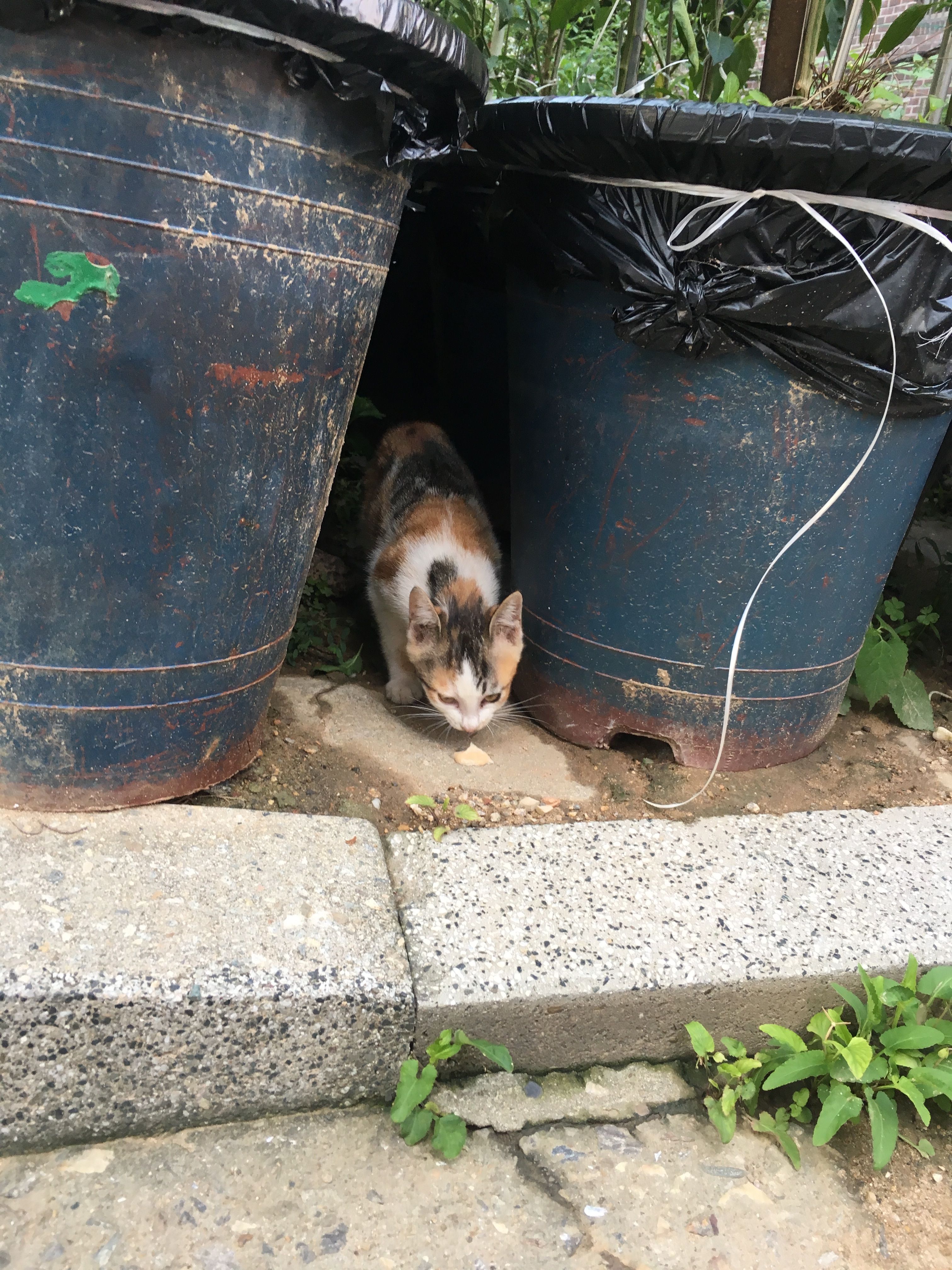 image-9