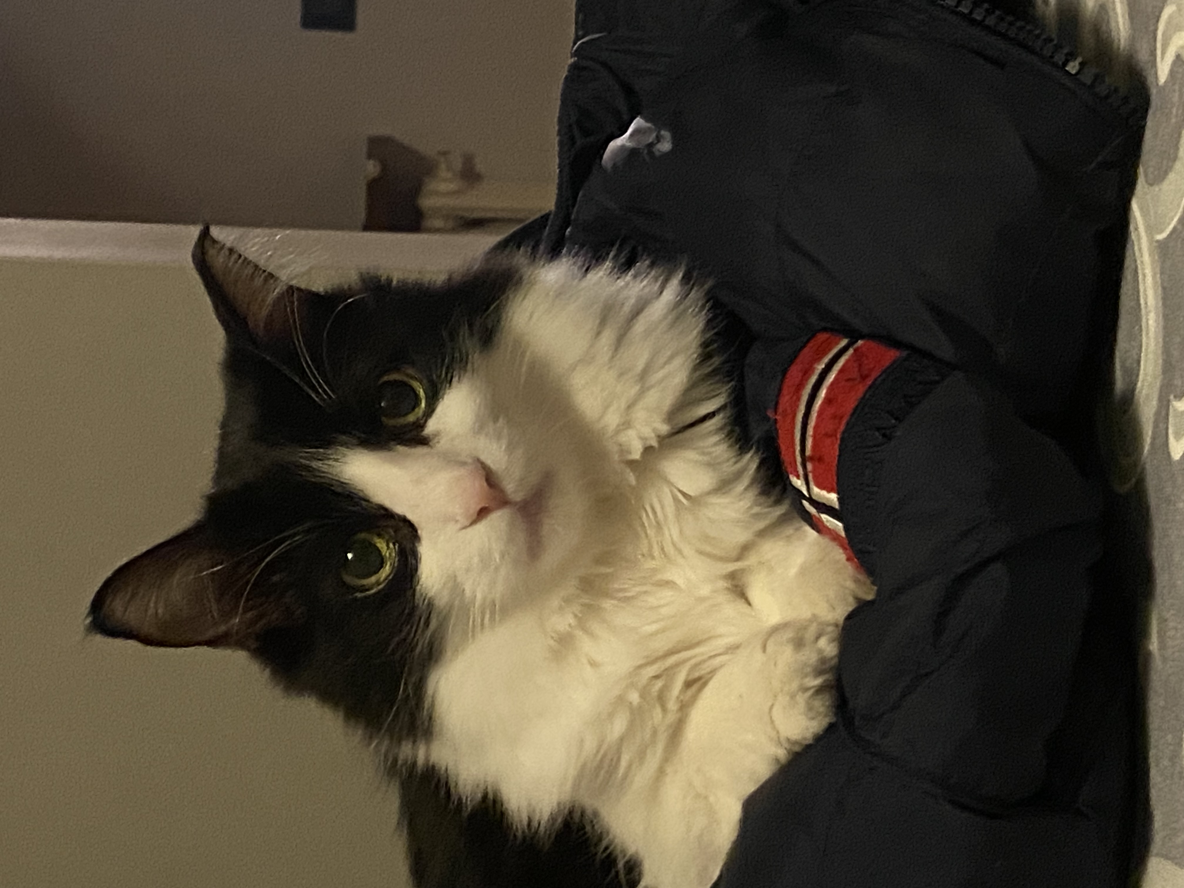 image-13