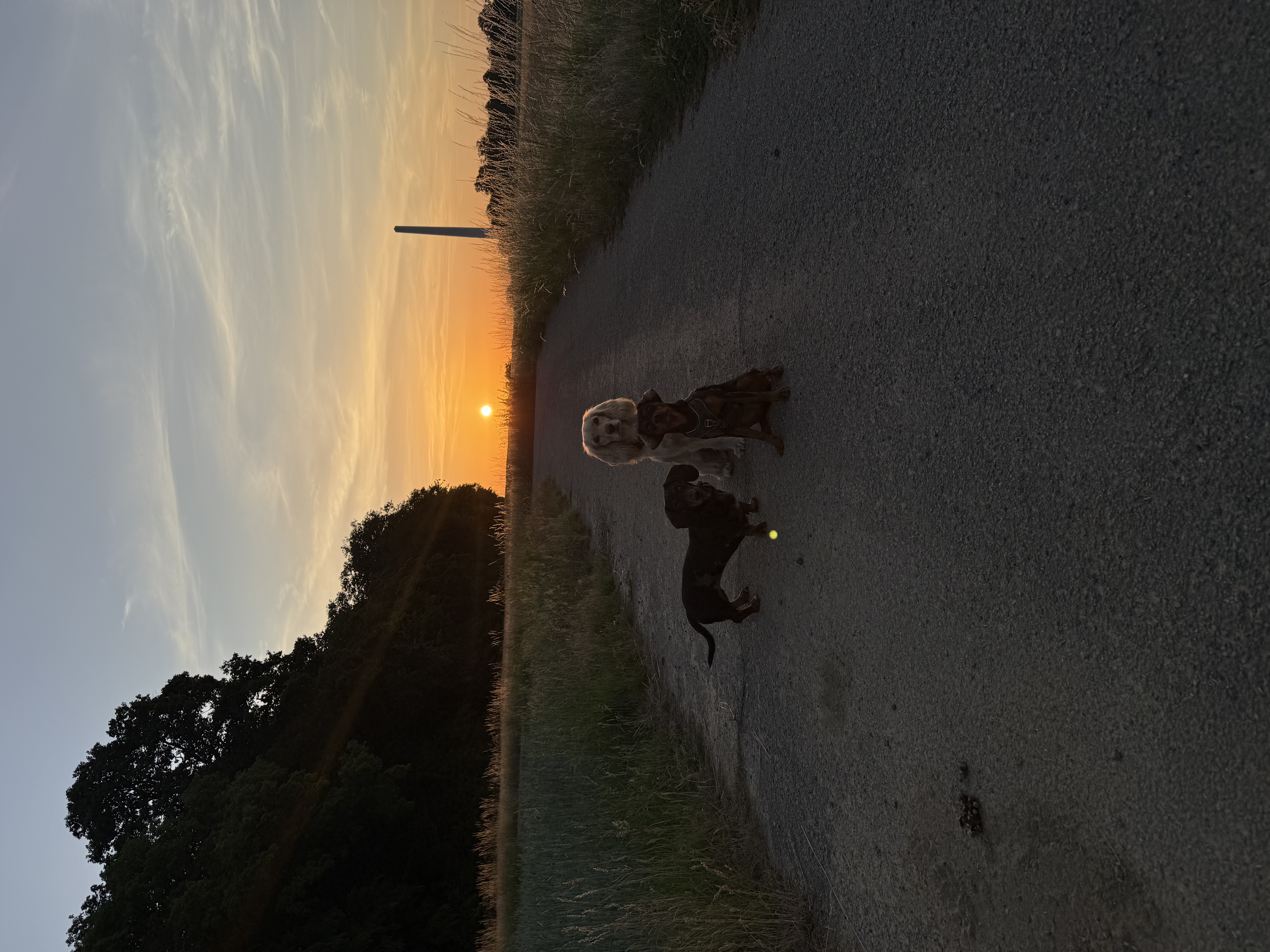 image-14