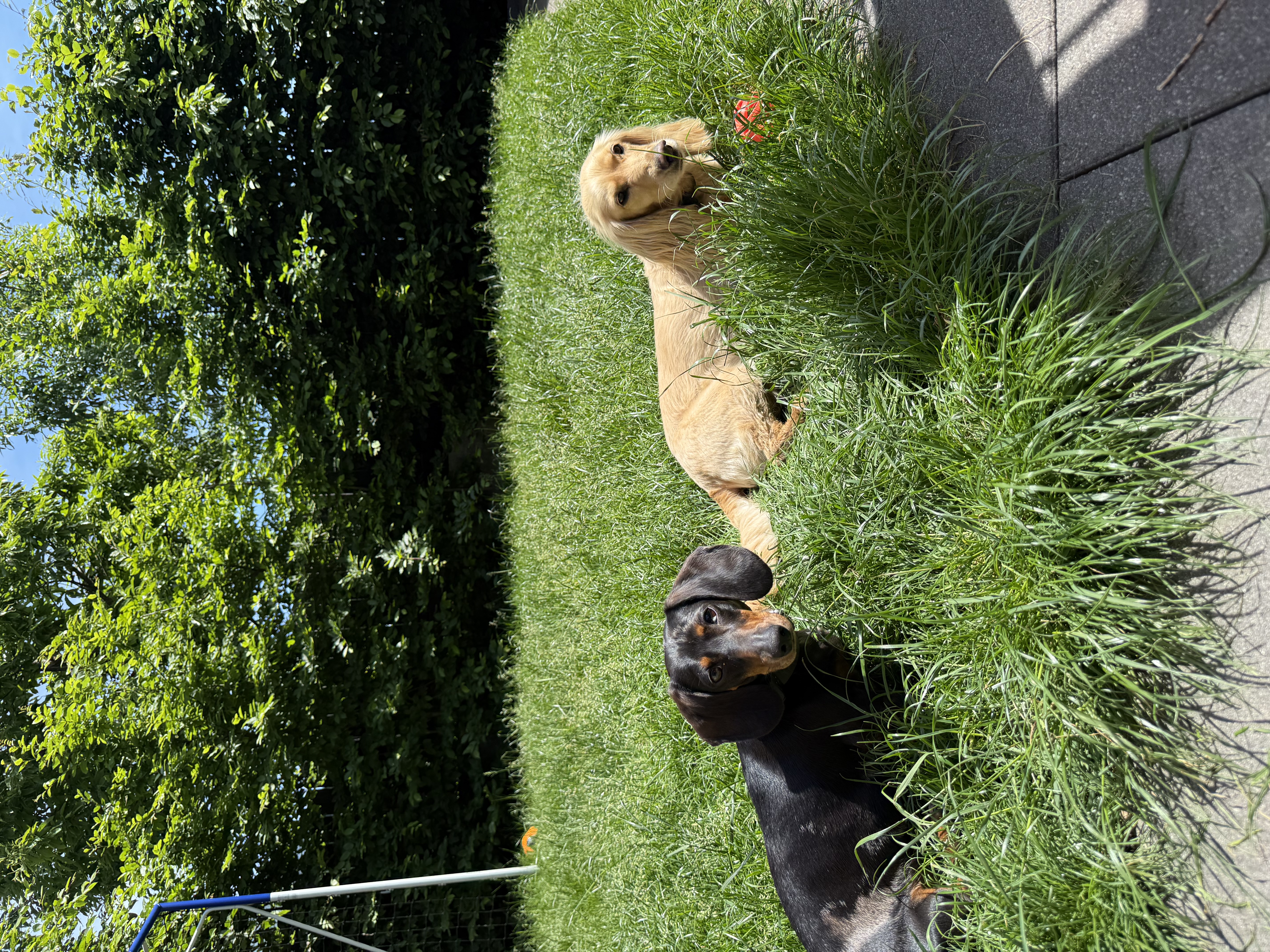 image-16