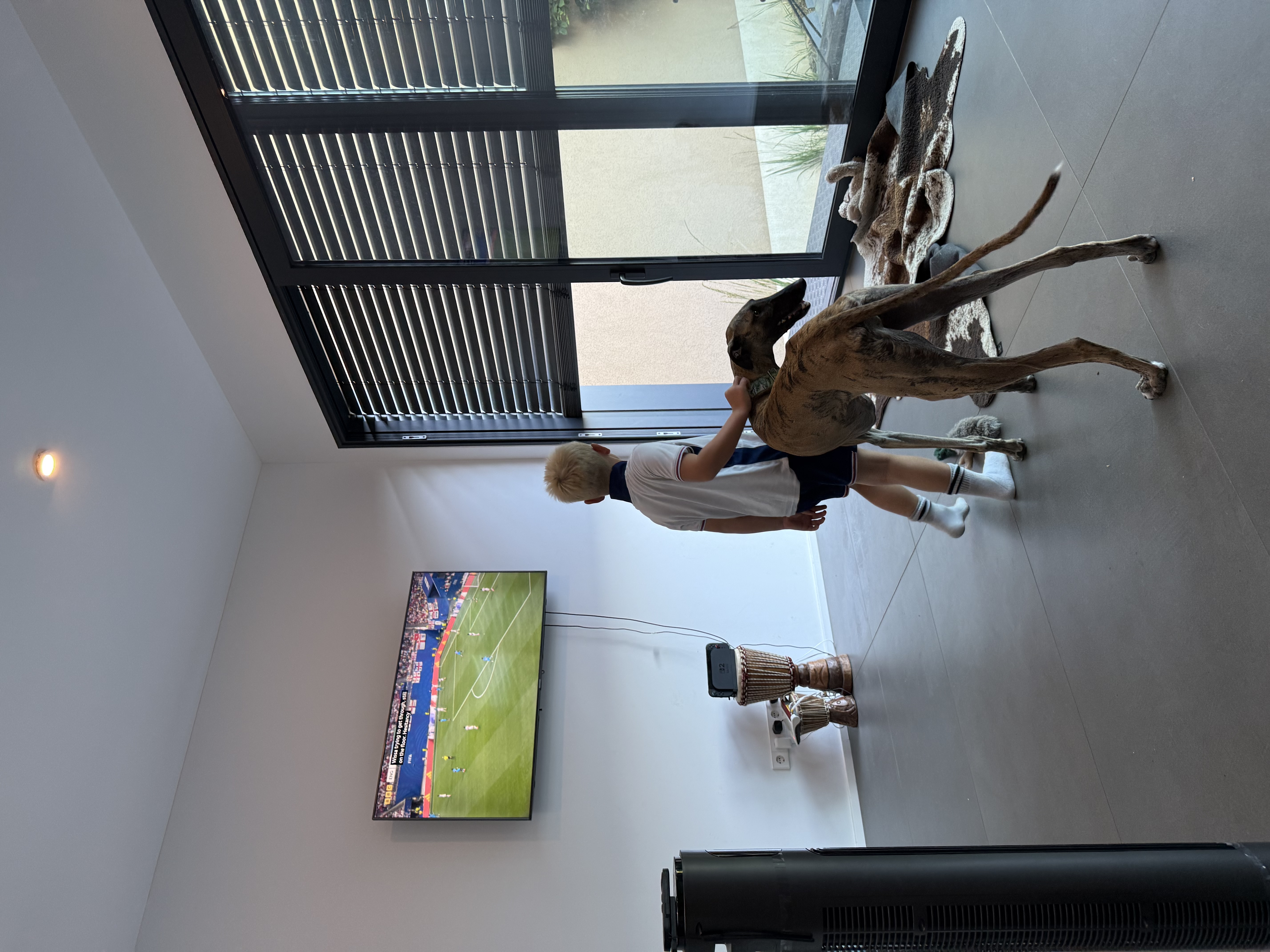 image-19