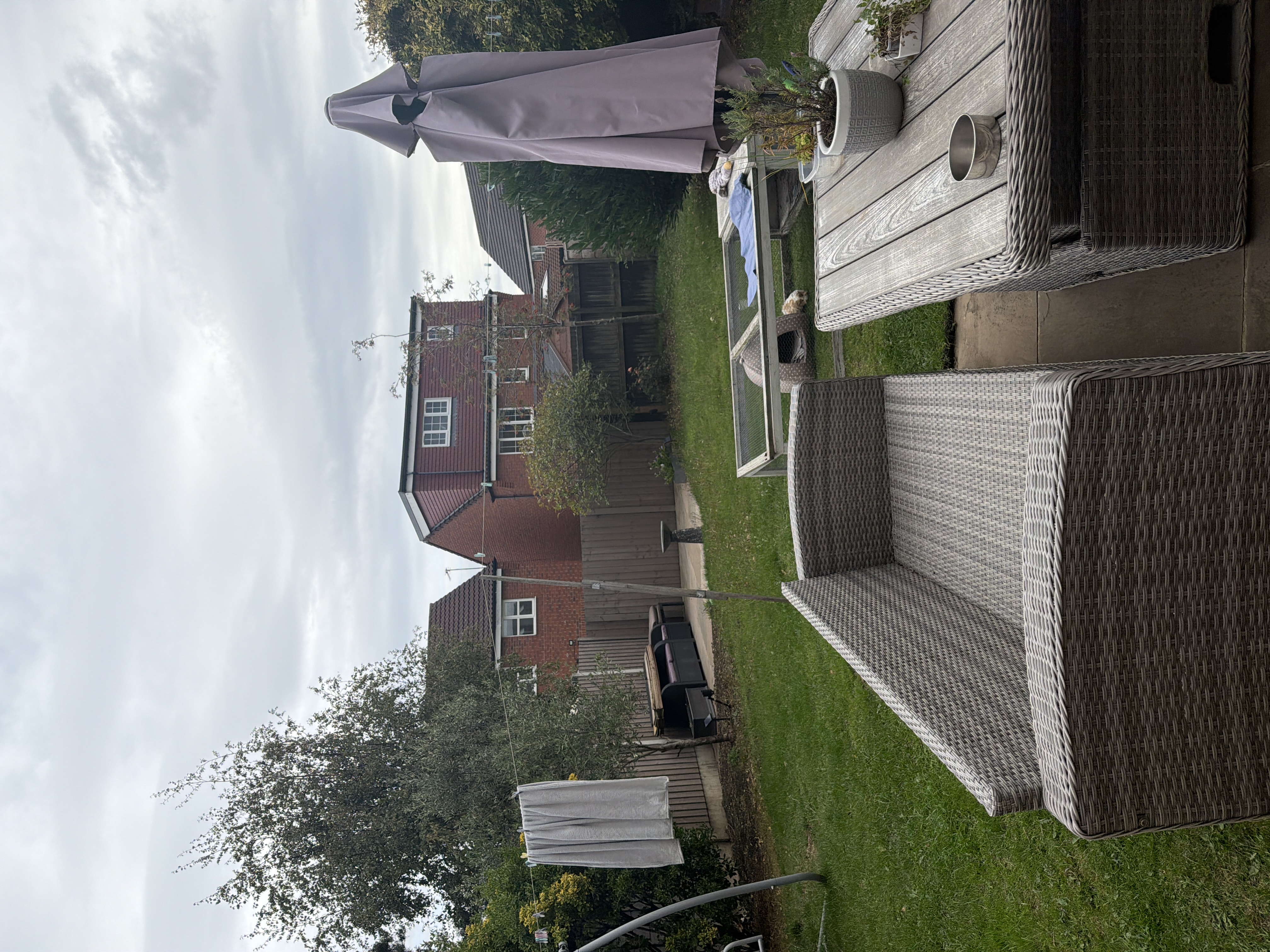 image-14