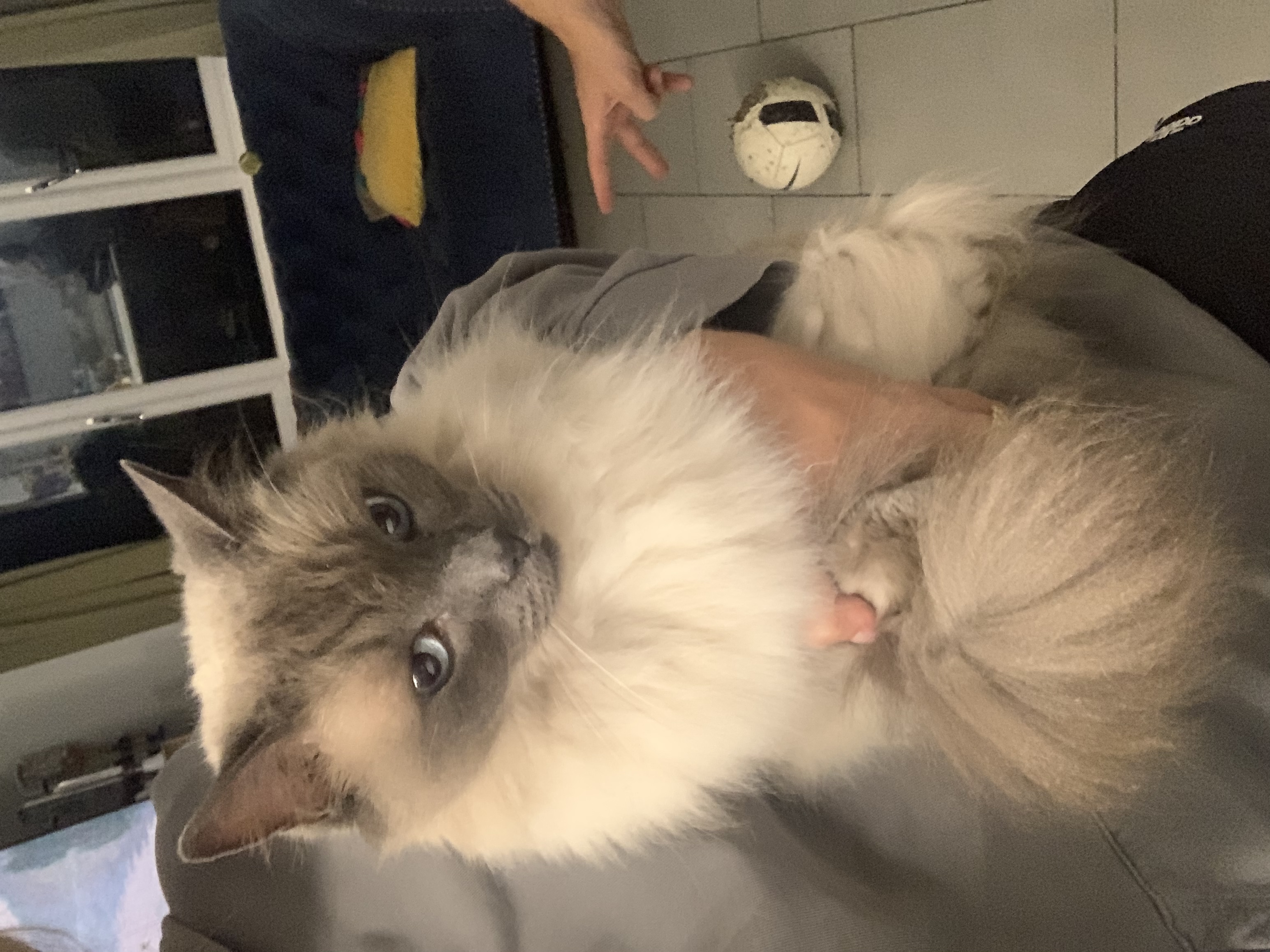 image-10