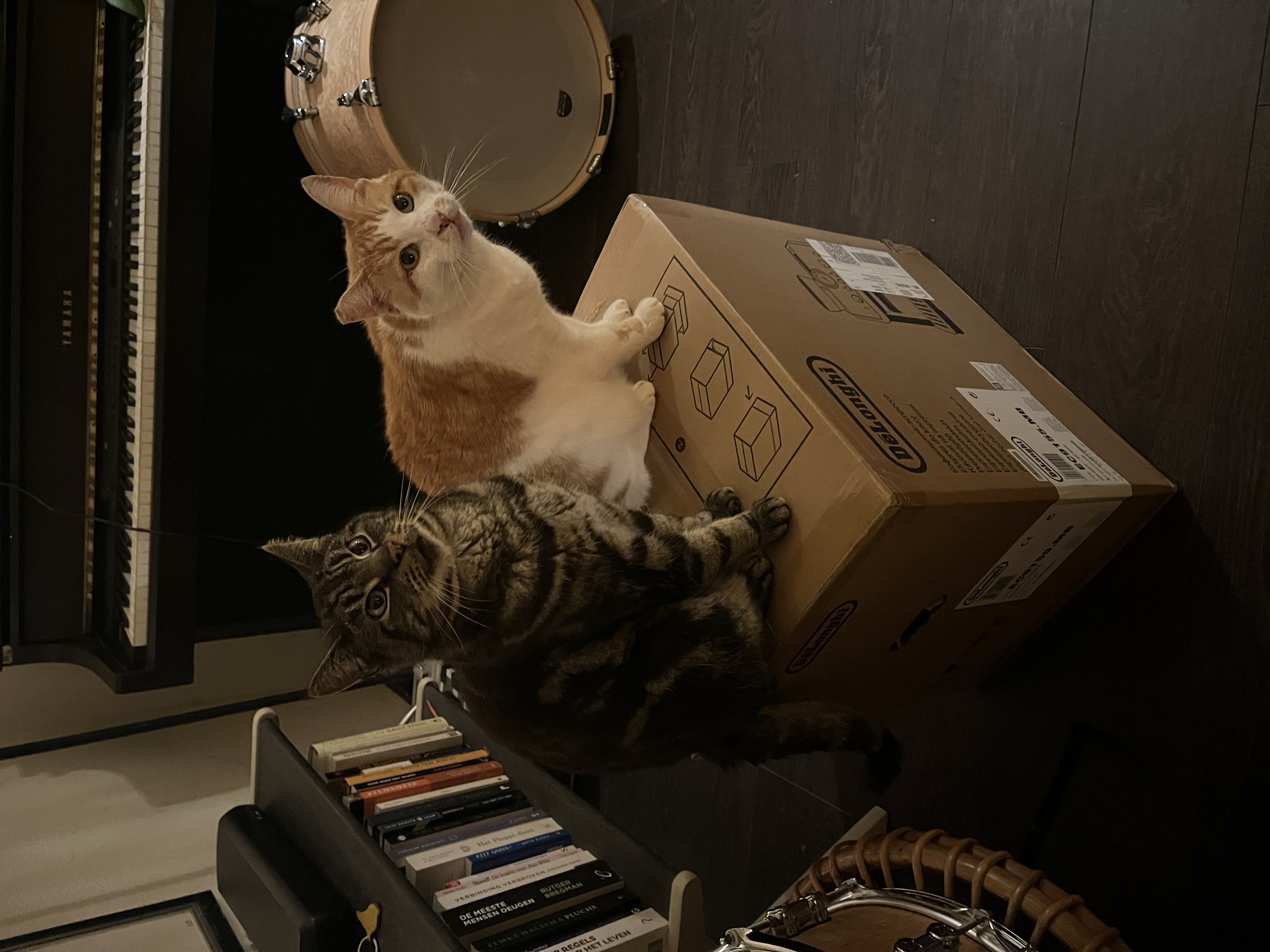 image-9
