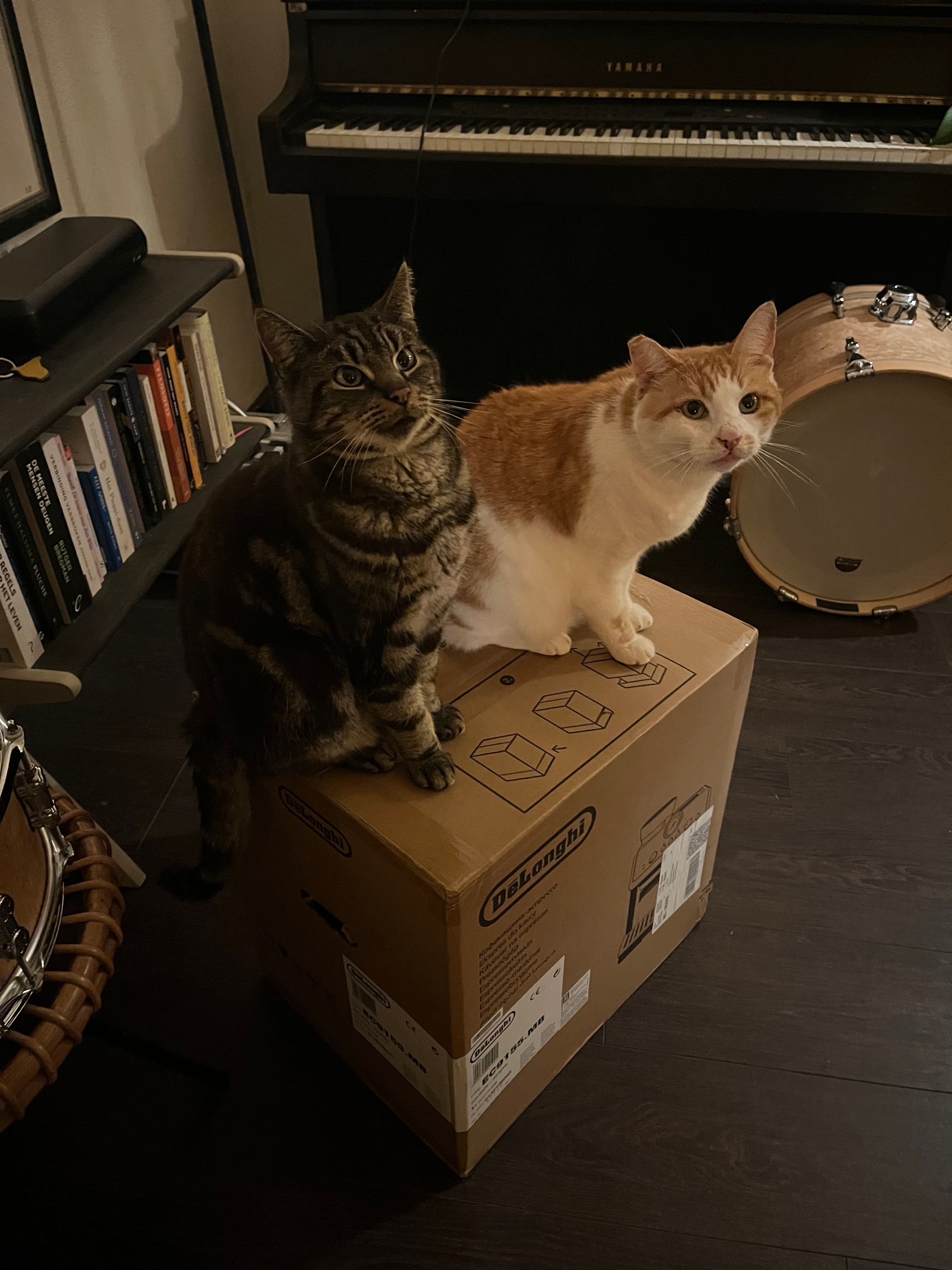 image-9