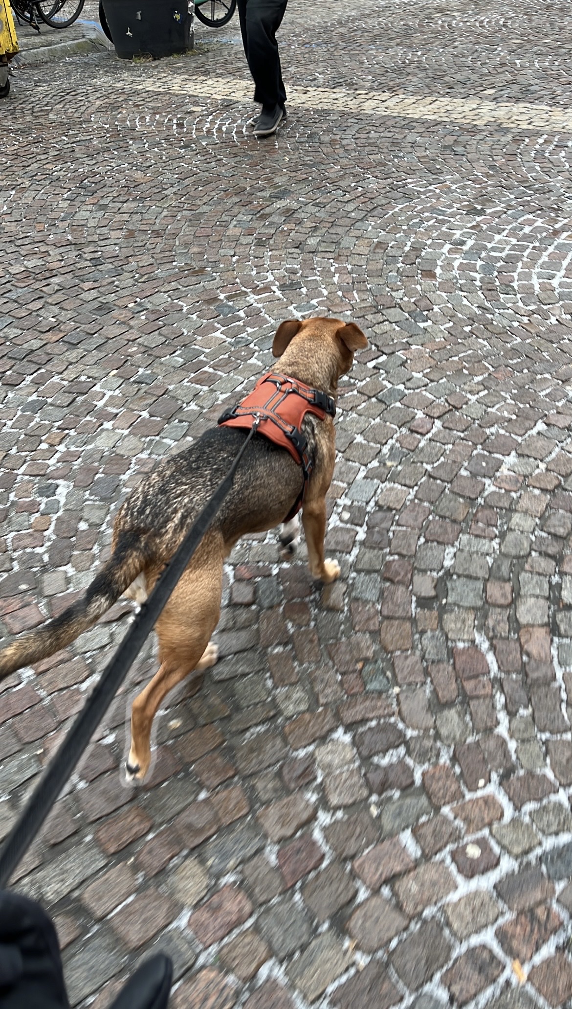 image-8